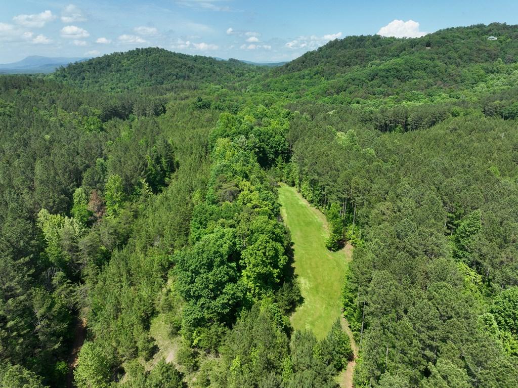 Ranger, Georgia, 30734, United States, ,Residential,For Sale,1924900