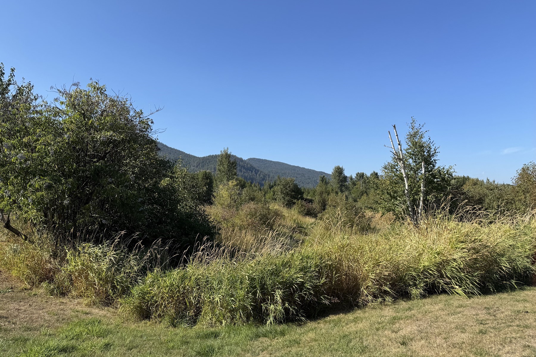  The Old Spur Homestead - 物件實景