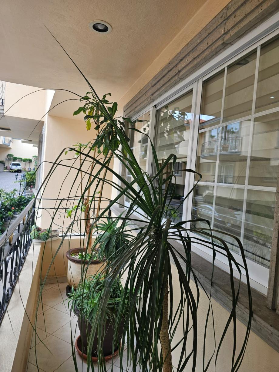 Huixquilucan, Estado de méxico, 52787, Mexico, 3 Bedrooms Bedrooms, ,4 BathroomsBathrooms,Residential,For Sale,1917220