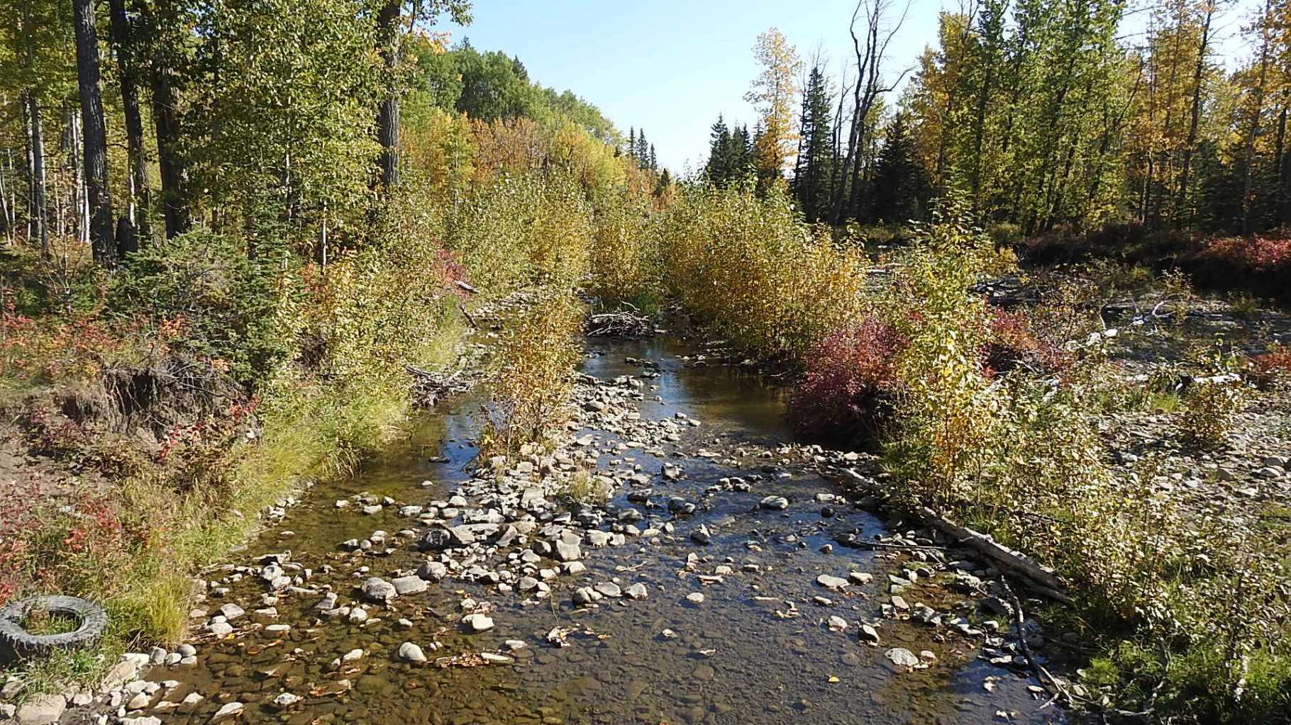 RURAL FOOTHILLS COUNTY, Alberta, T0L 1K0, CA, ,Residential,For Sale,1836944