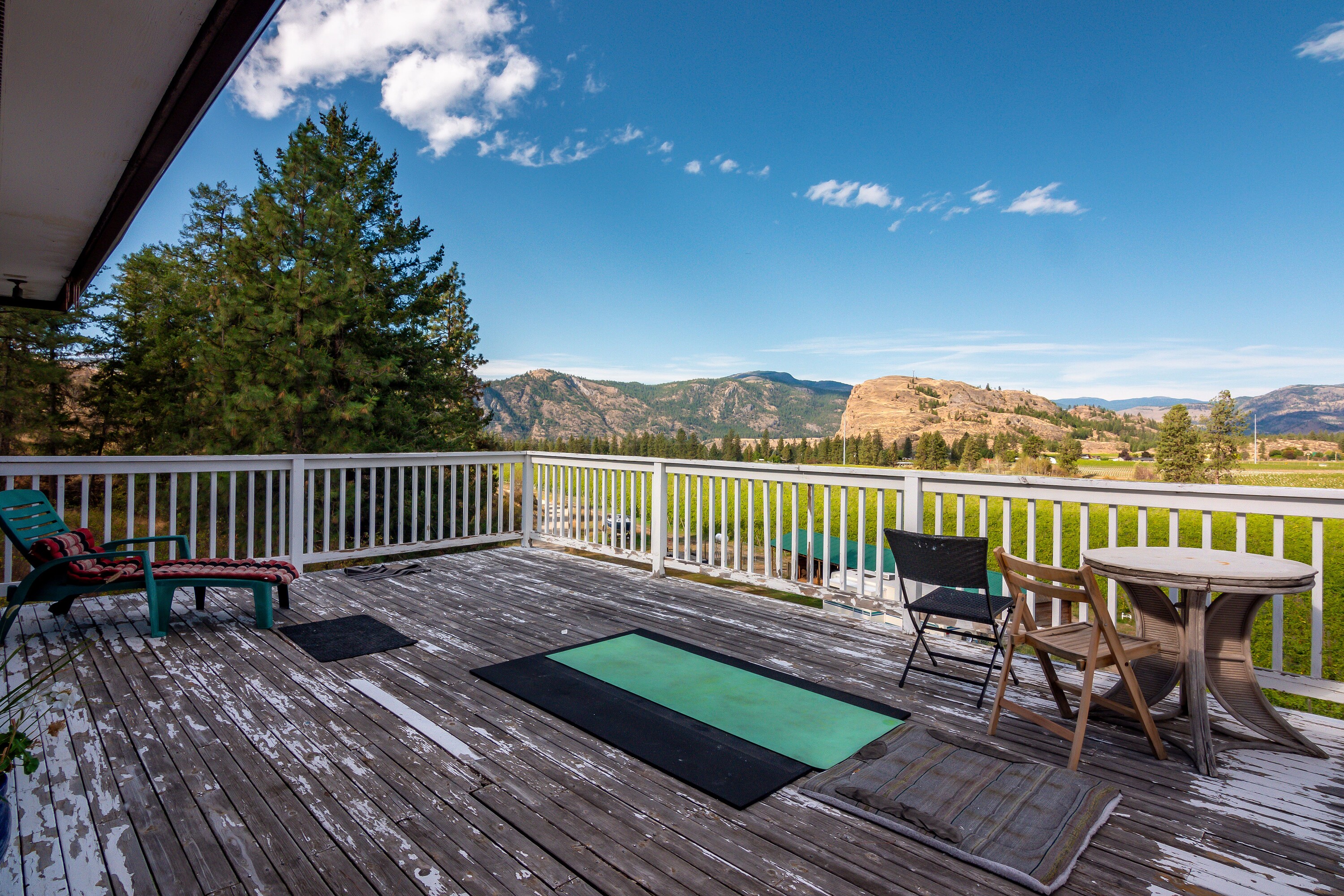  Vineyard in Okanagan Falls - 物件實景