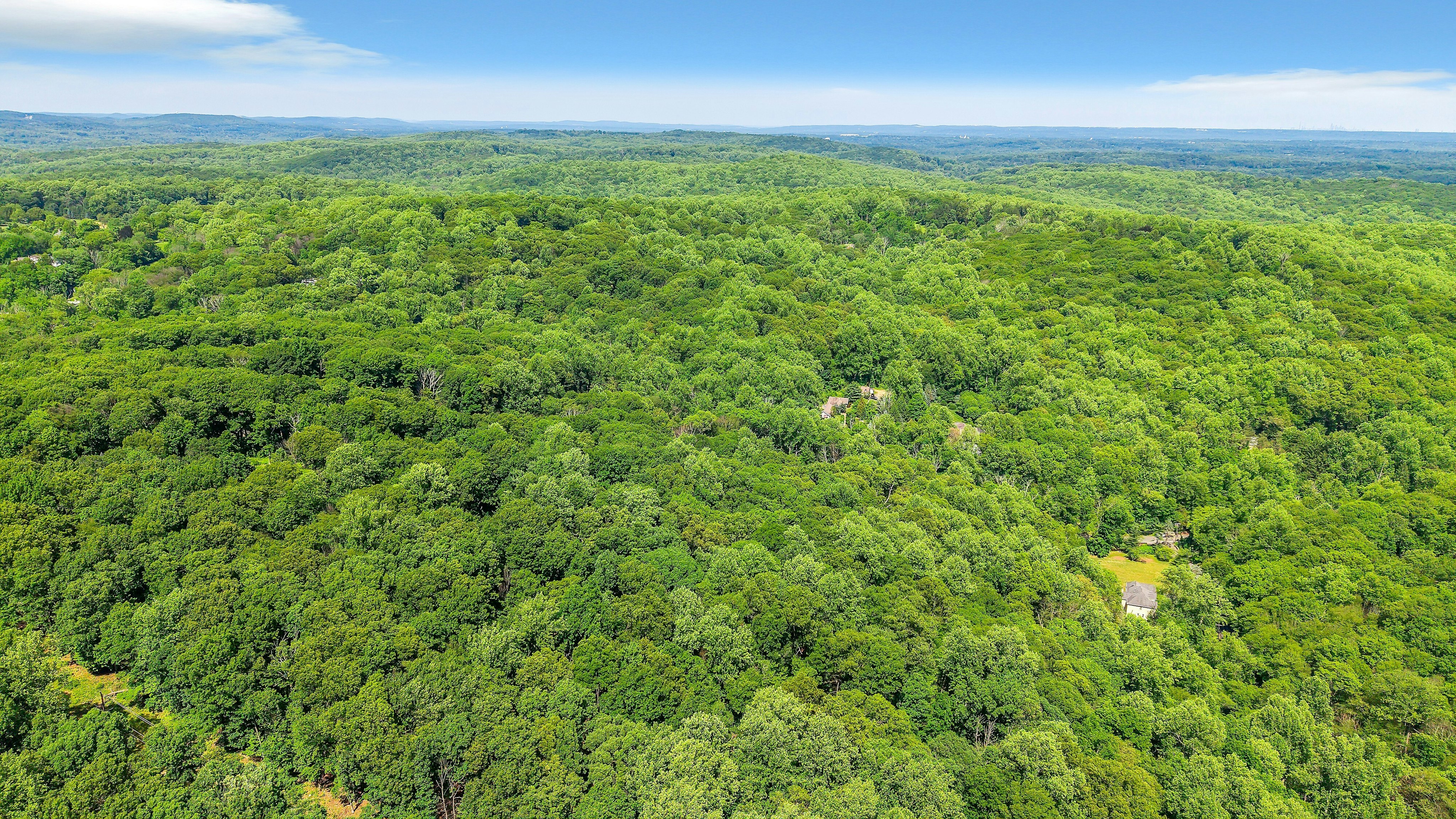  220 Hardscrabble Road, Bernardsville, NJ 07924 - 物件實景