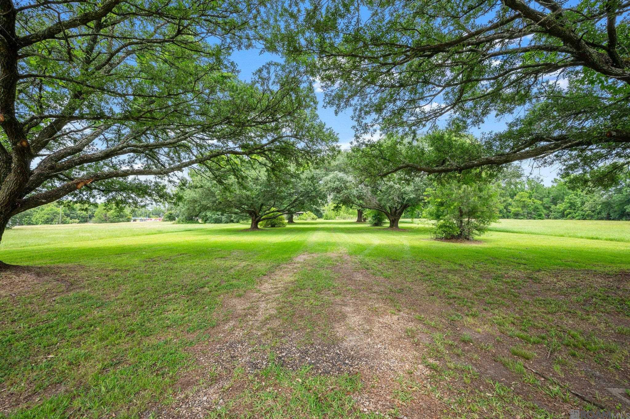 Baton Rouge, Louisiana, 70811, United States, ,Land,For Sale,1976430