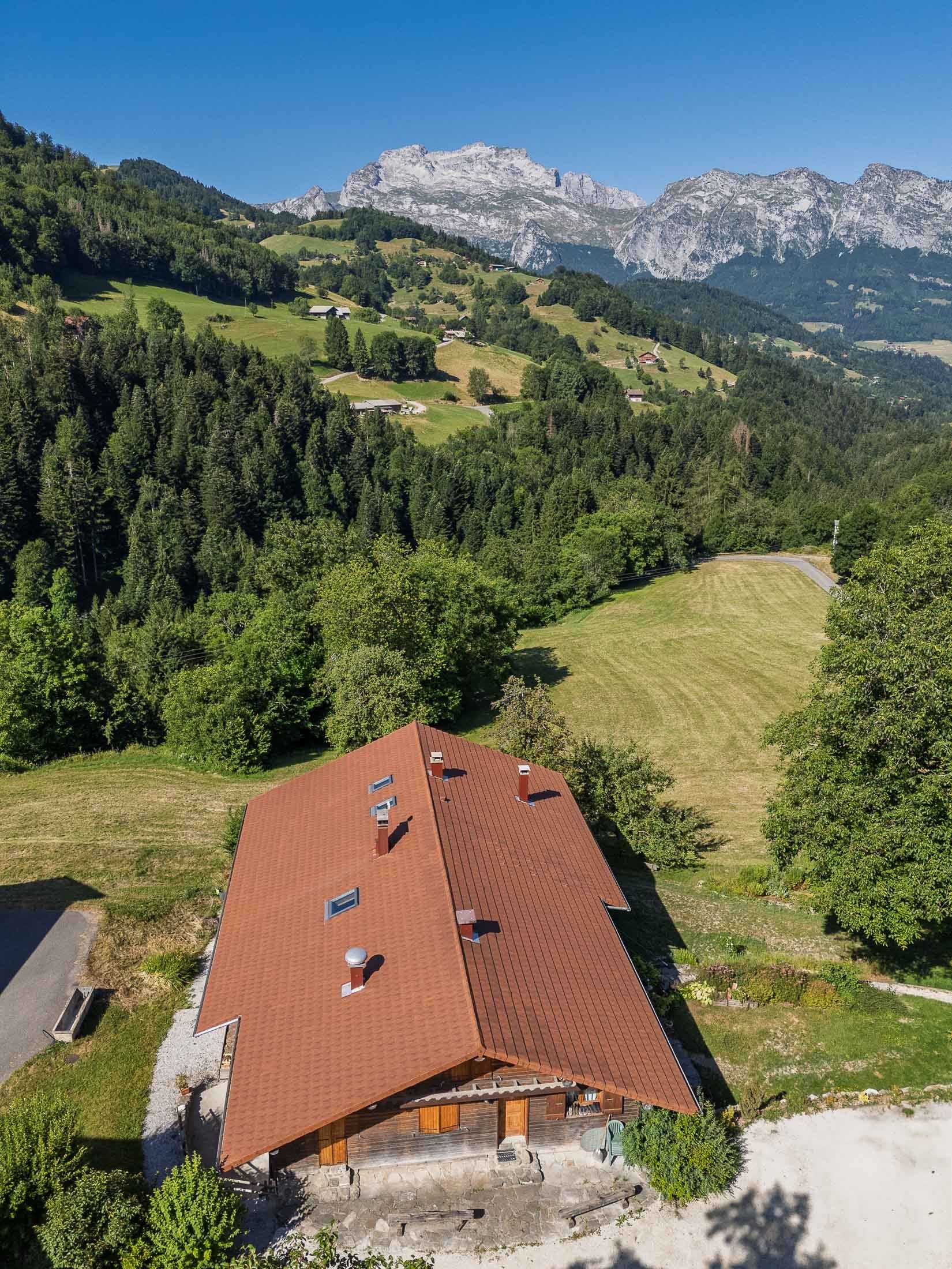  Exceptional chalet in the heart of the mountains - 物件實景