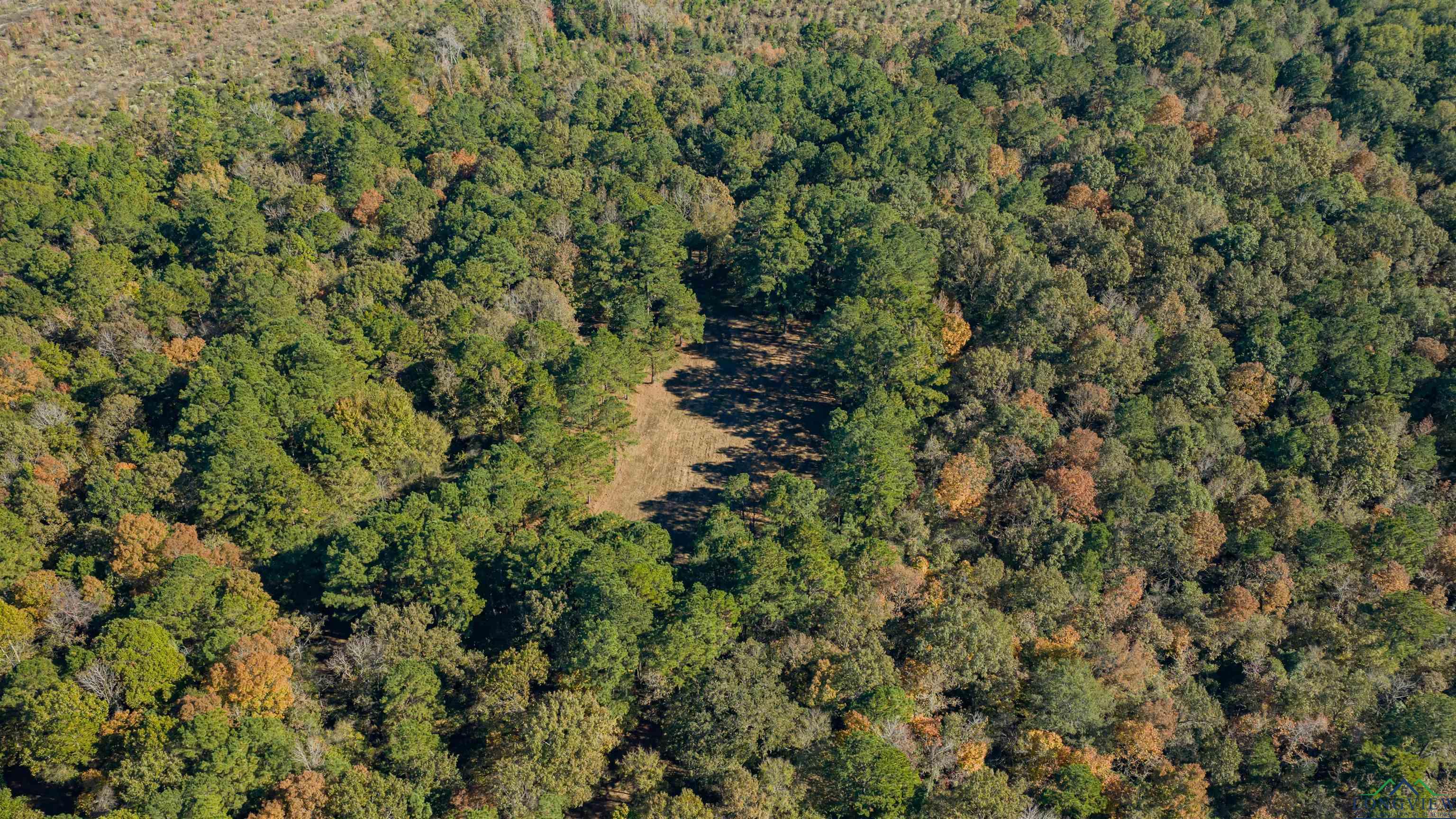 Diana, Texas, 75640, United States, ,Residential,For Sale,1993396