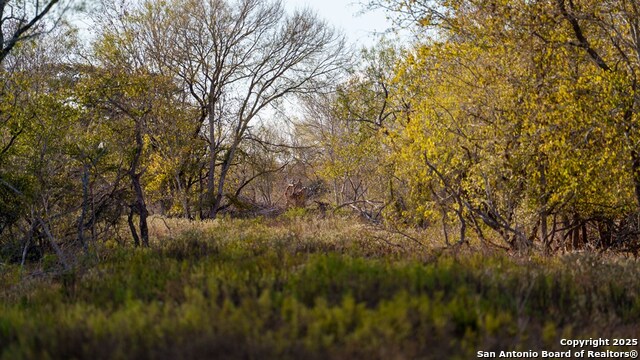 Other, 11111, United States, ,Land,For Sale,1951420