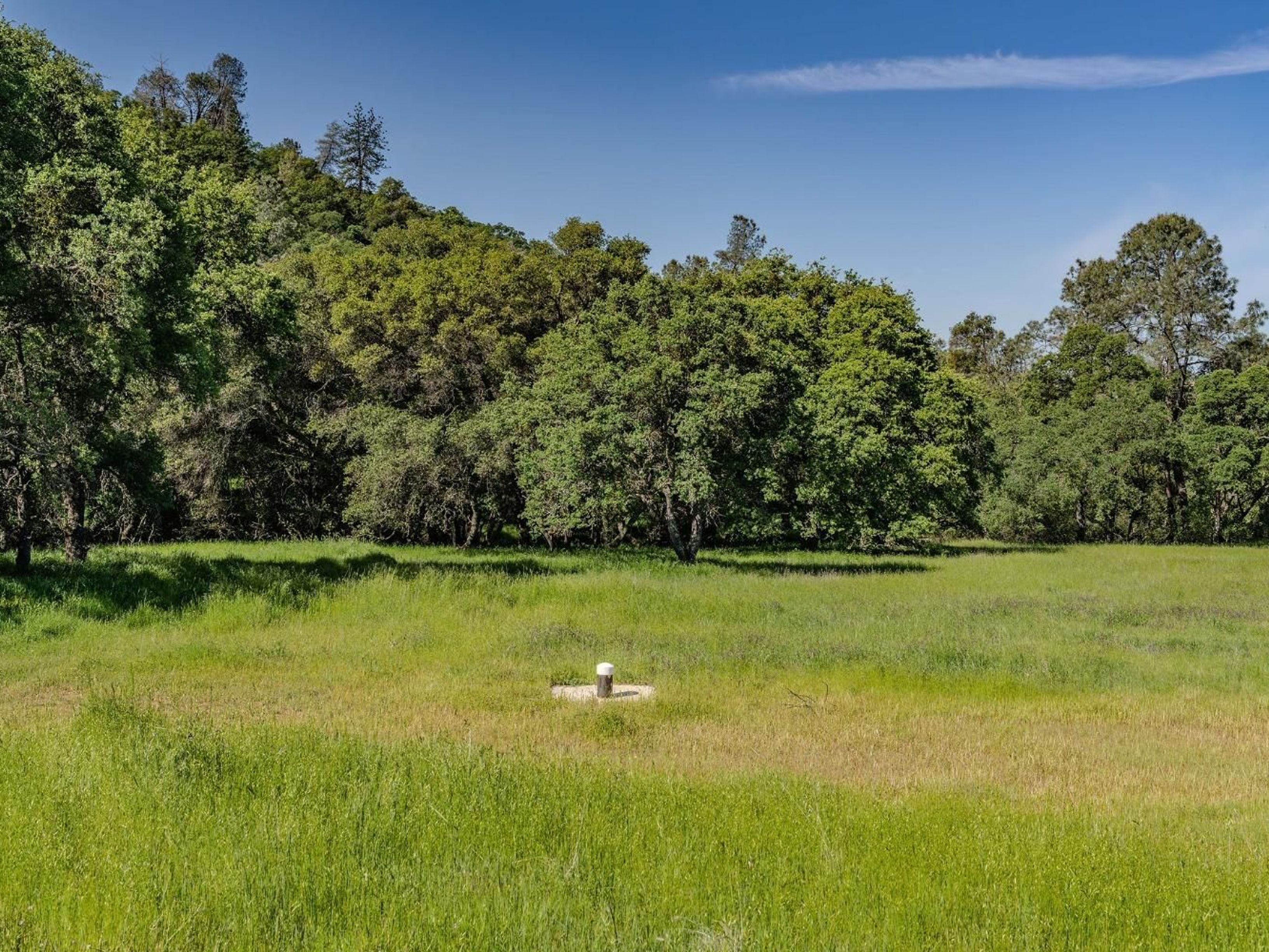  10865 Sunset Drive, Sutter Creek, CA 95685 - 物件實景