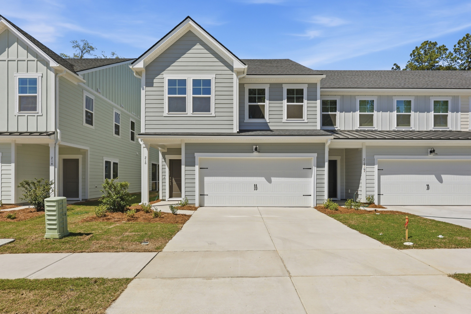  216 Twinleaf Court, Charleston - 物件實景