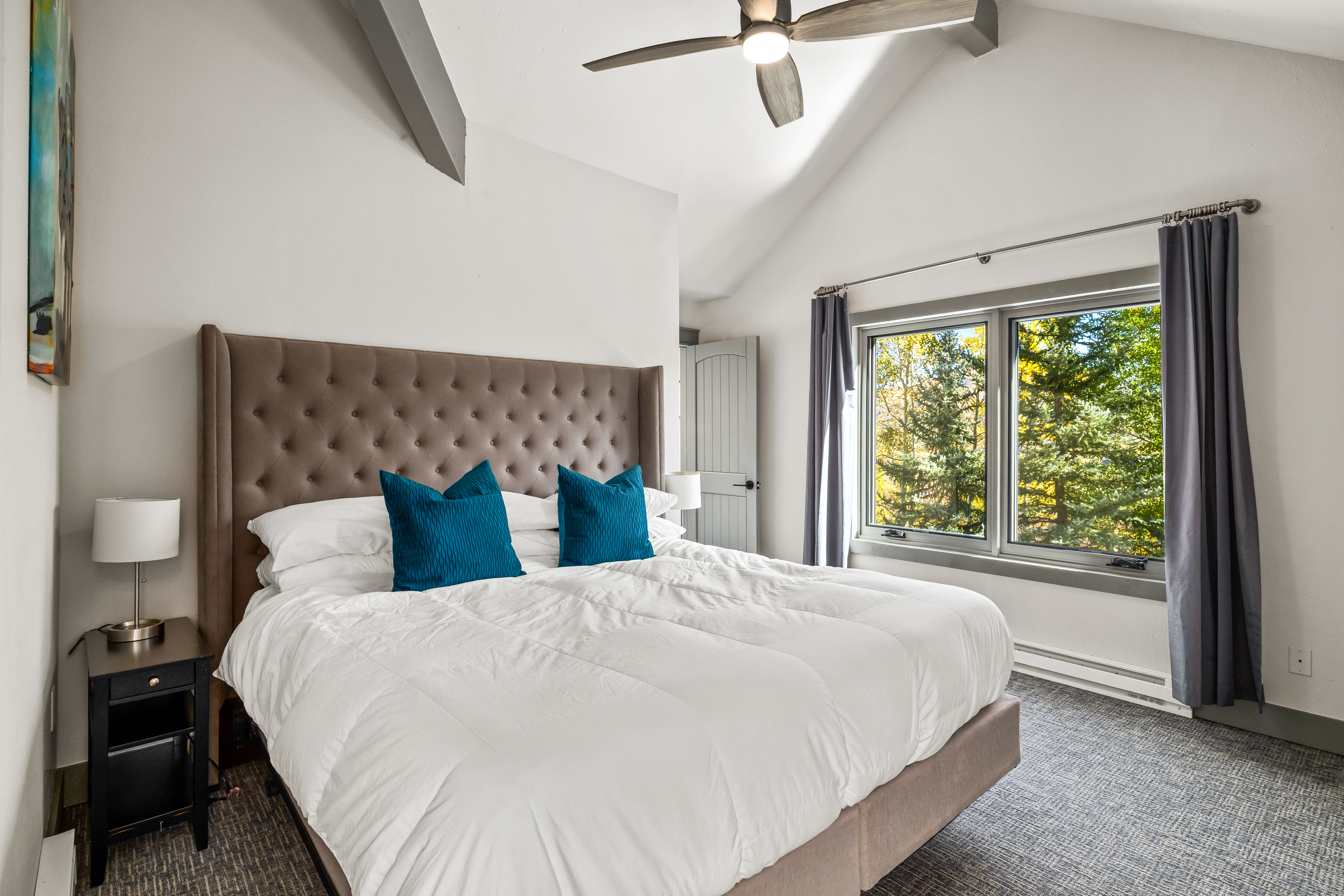  36881 Tree Haus Drive, Steamboat Springs, CO, 80487 - 物件實景