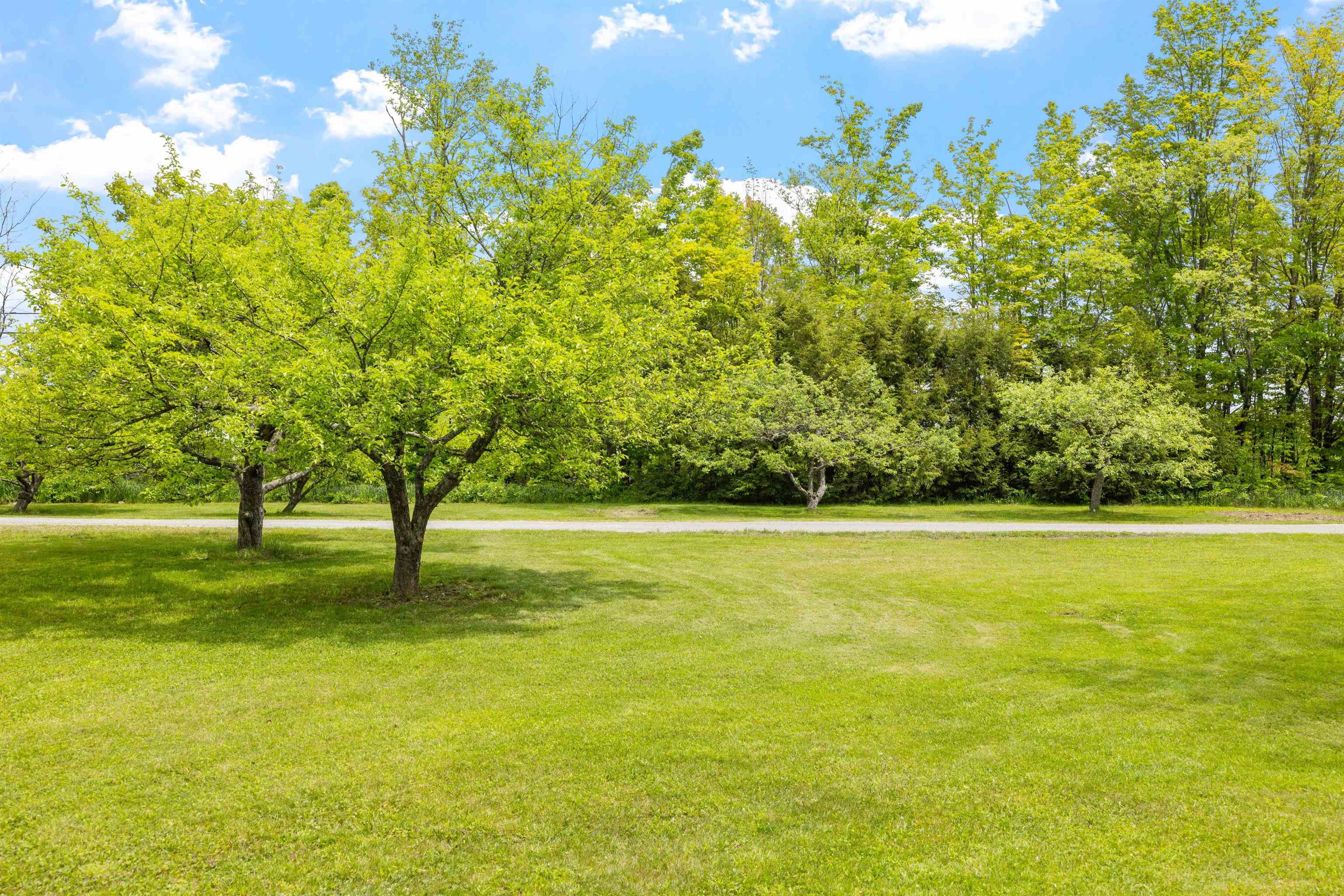 Hillsborough, New Hampshire, 03244, United States, 3 Bedrooms Bedrooms, ,2 BathroomsBathrooms,Residential,For Sale,1840284