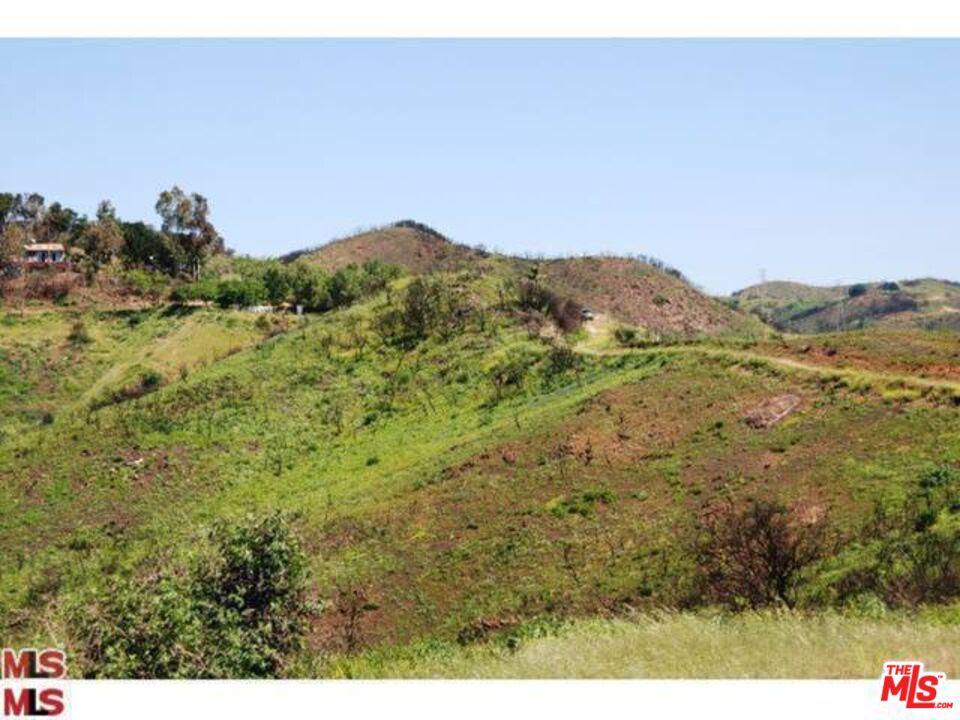 Malibu, California, 90265, United States, ,Land,For Sale,1767391