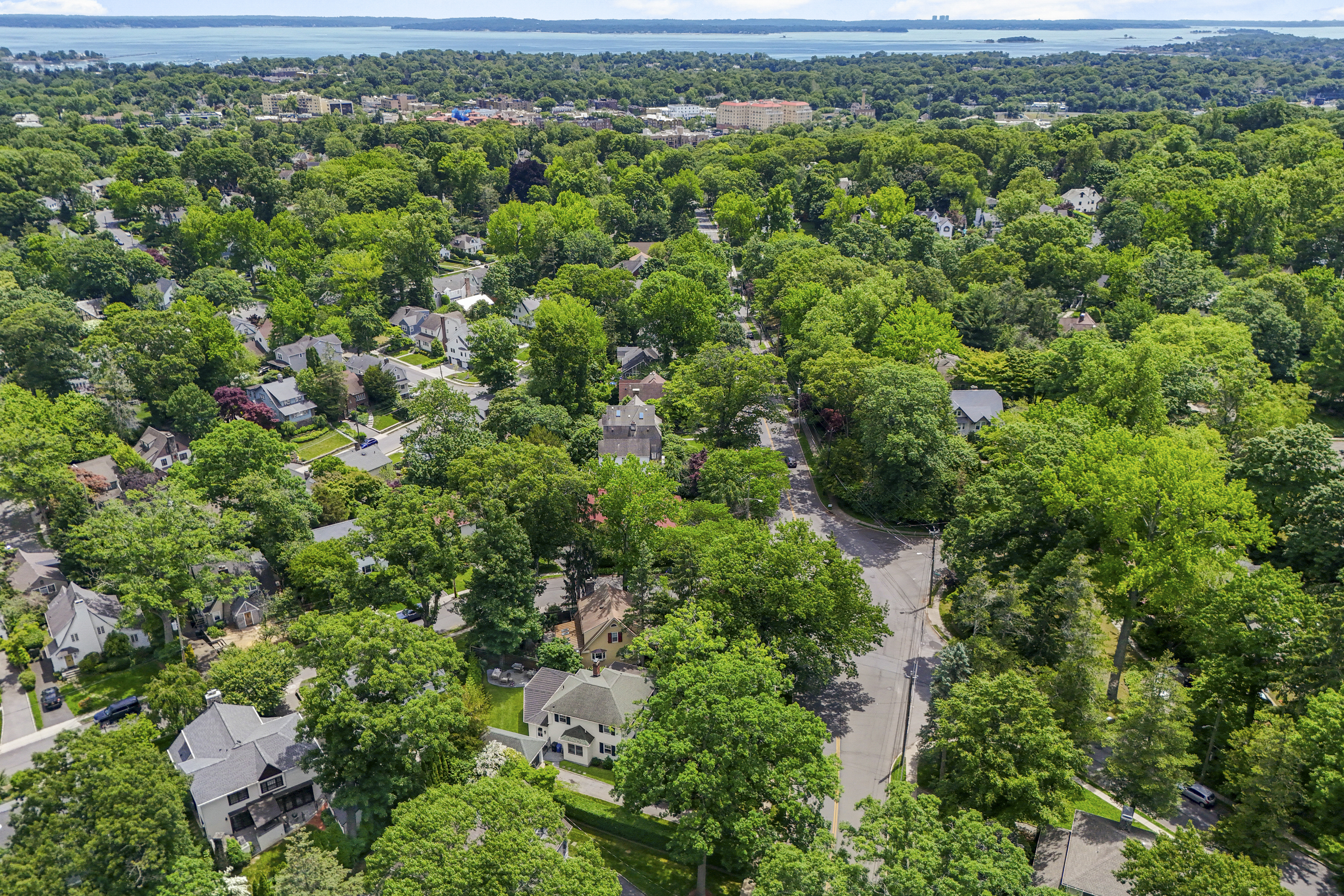  Fully Renovated Larchmont Colonial - 物件實景