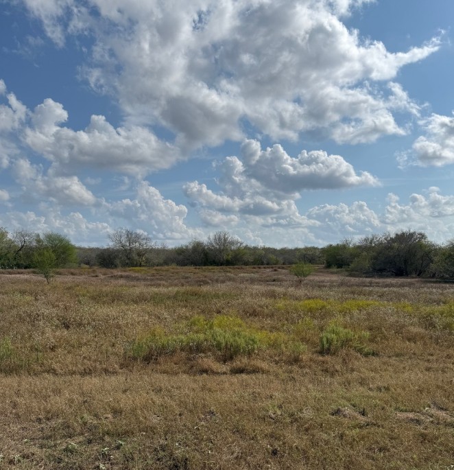 Runge, Texas, 78151, United States, ,Residential,For Sale,1996631