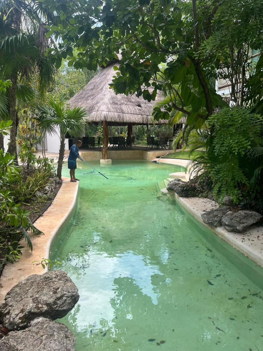 Benito Juárez, Quintana Roo, 77500, Mexico, 2 Bedrooms Bedrooms, ,2 BathroomsBathrooms,Residential,For Sale,1821590