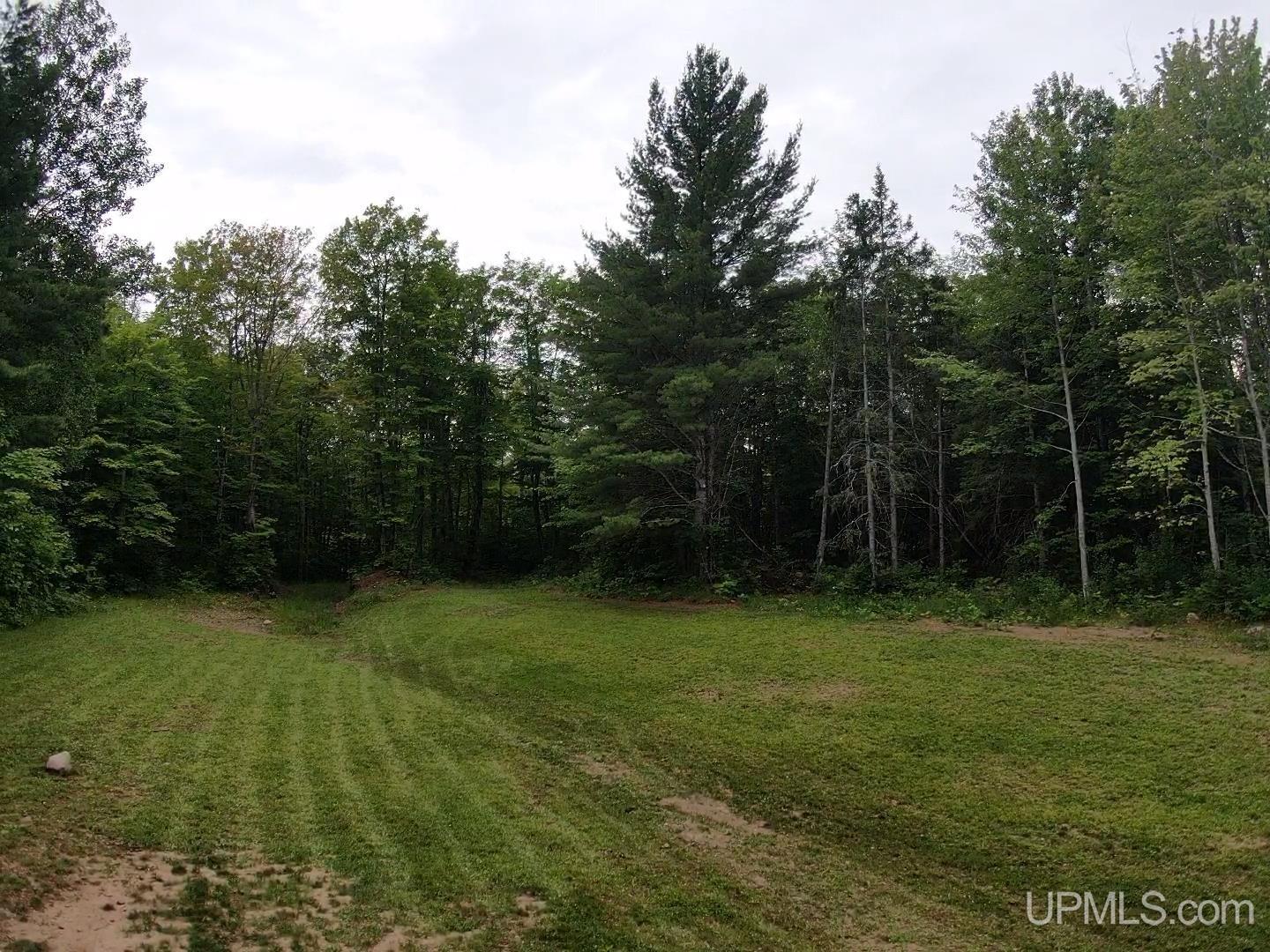 Hancock, Michigan, 49930, United States, 3 Bedrooms Bedrooms, ,3 BathroomsBathrooms,Residential,For Sale,1901071
