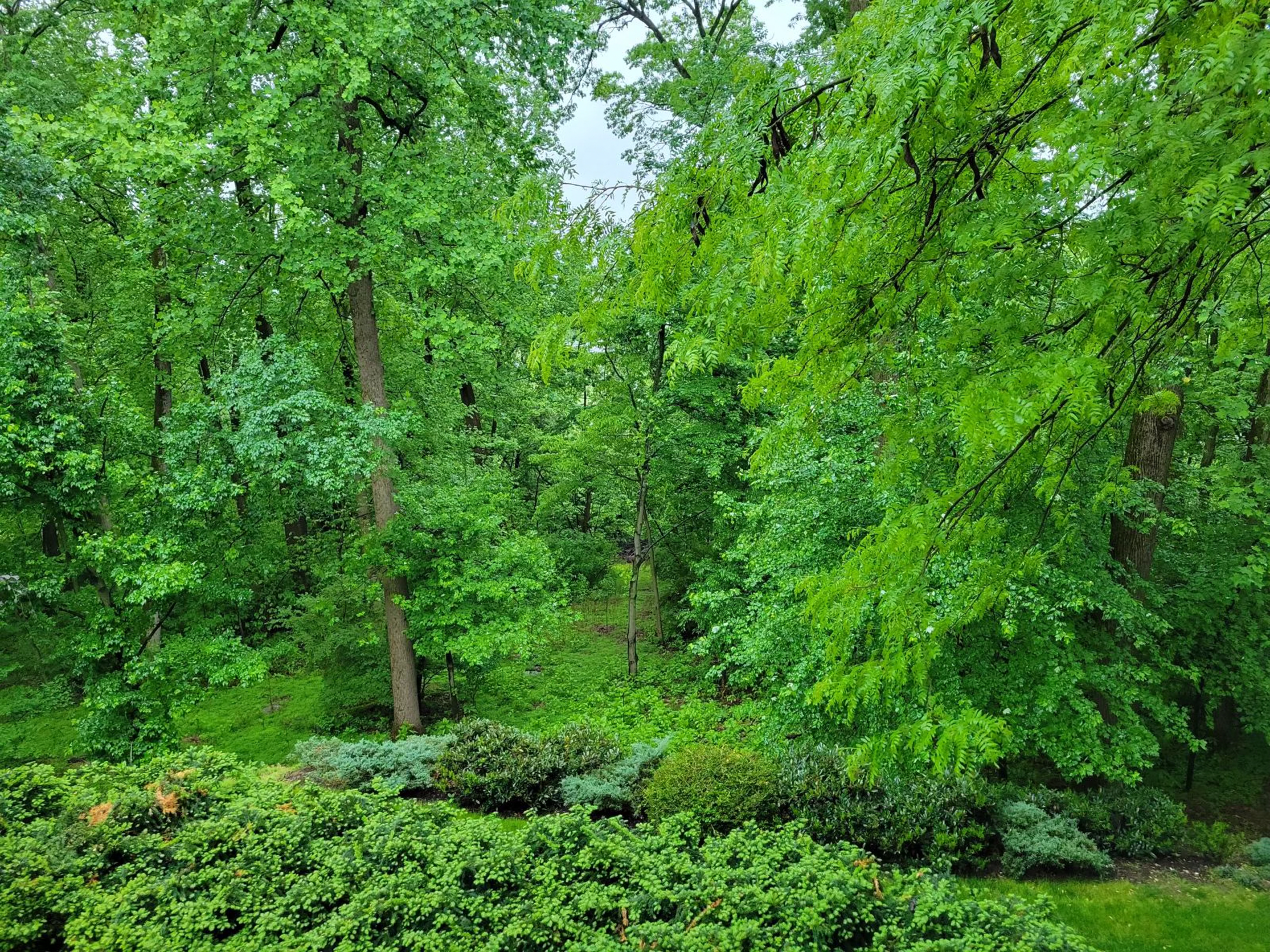  910 Pennwood Circle - 物件實景