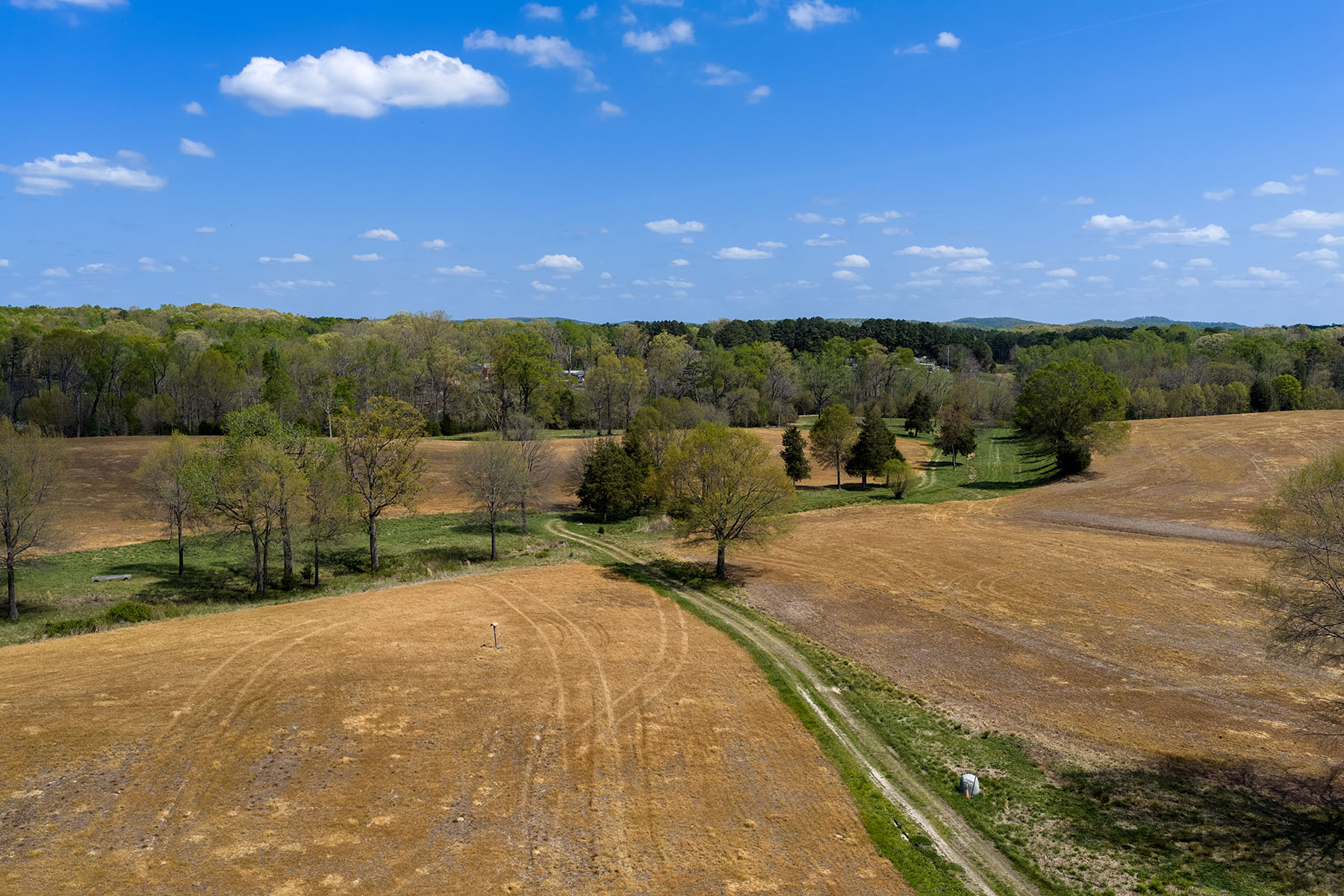  Albemarle - 物件實景