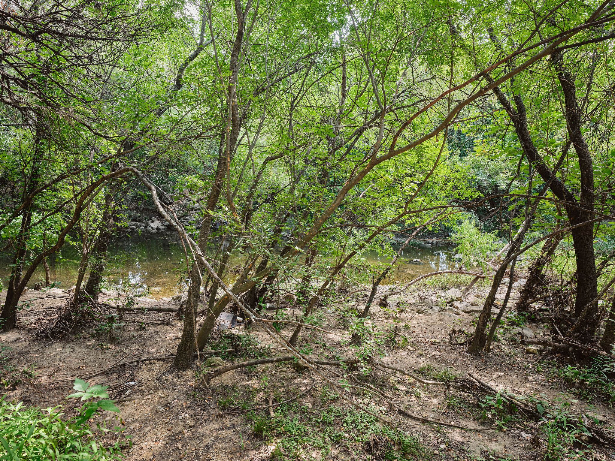 The Arbor House - 物件實景