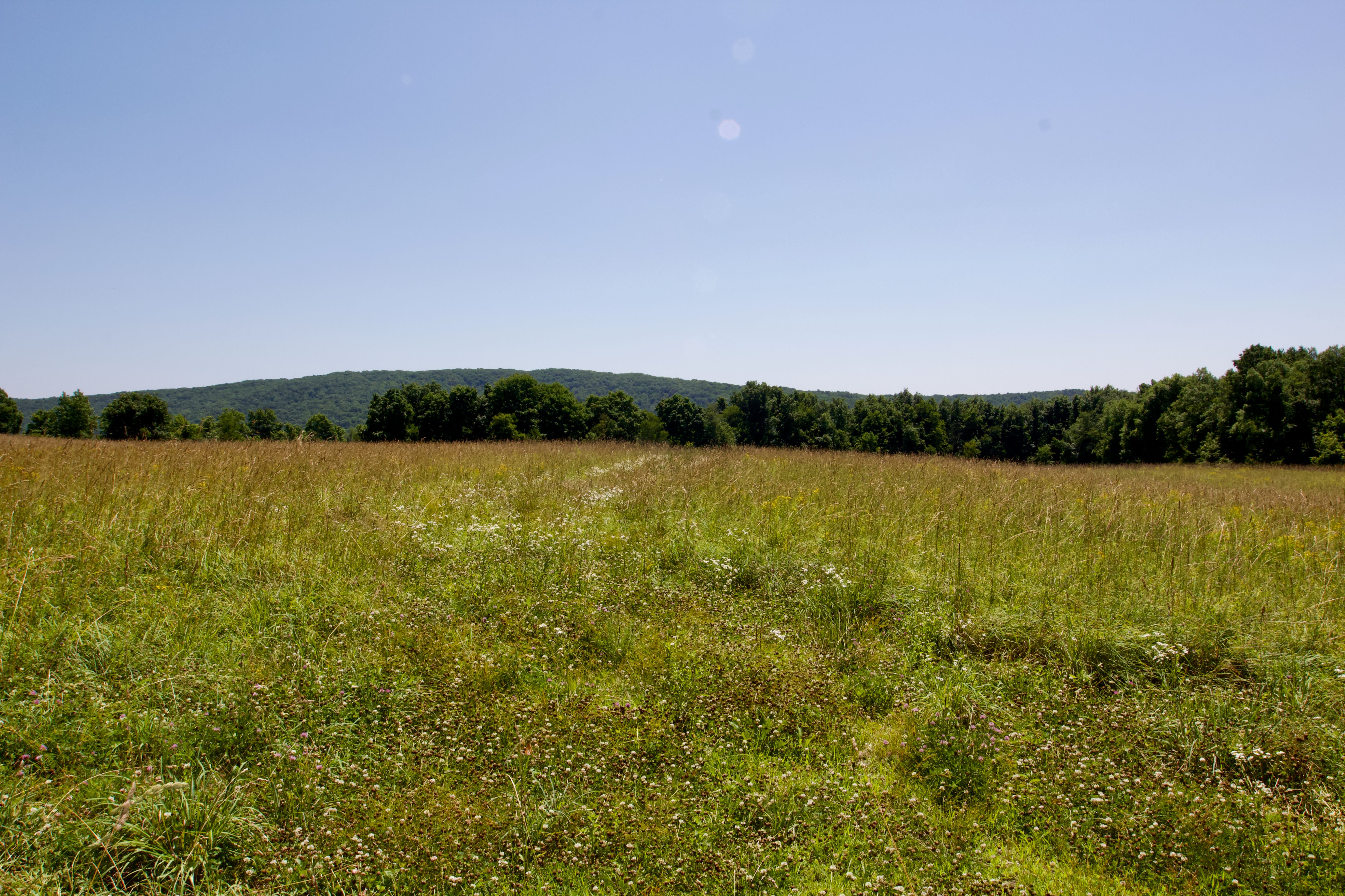  90 West End Road, Hillsdale, NY 12529 - 物件實景