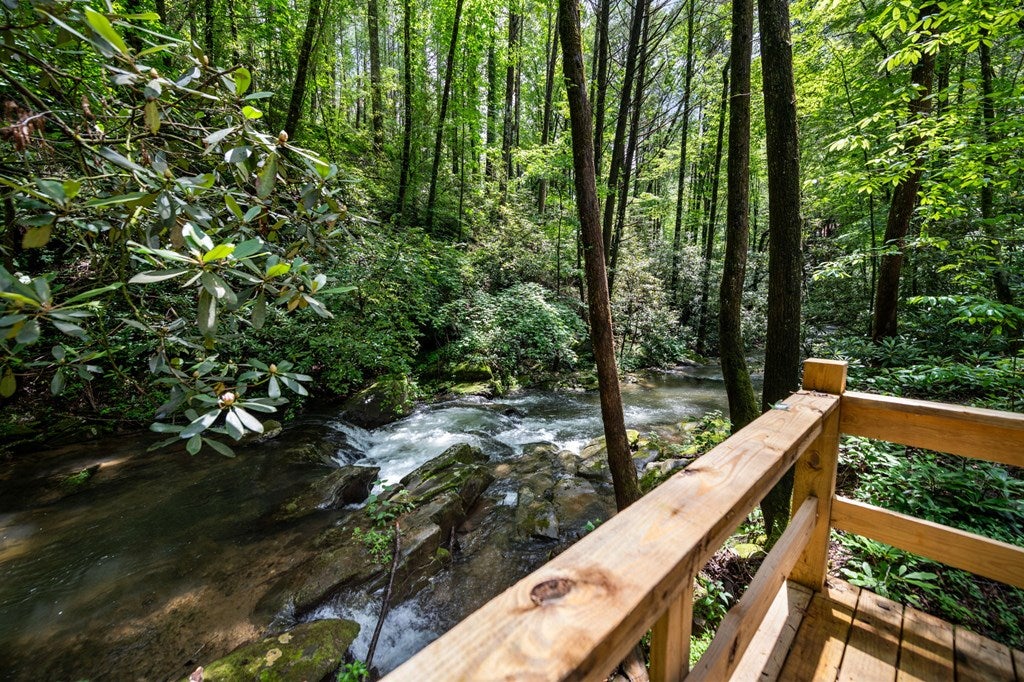 Ellijay, Georgia, 30540, United States, 5 Bedrooms Bedrooms, ,5 BathroomsBathrooms,Residential,For Sale,1868155