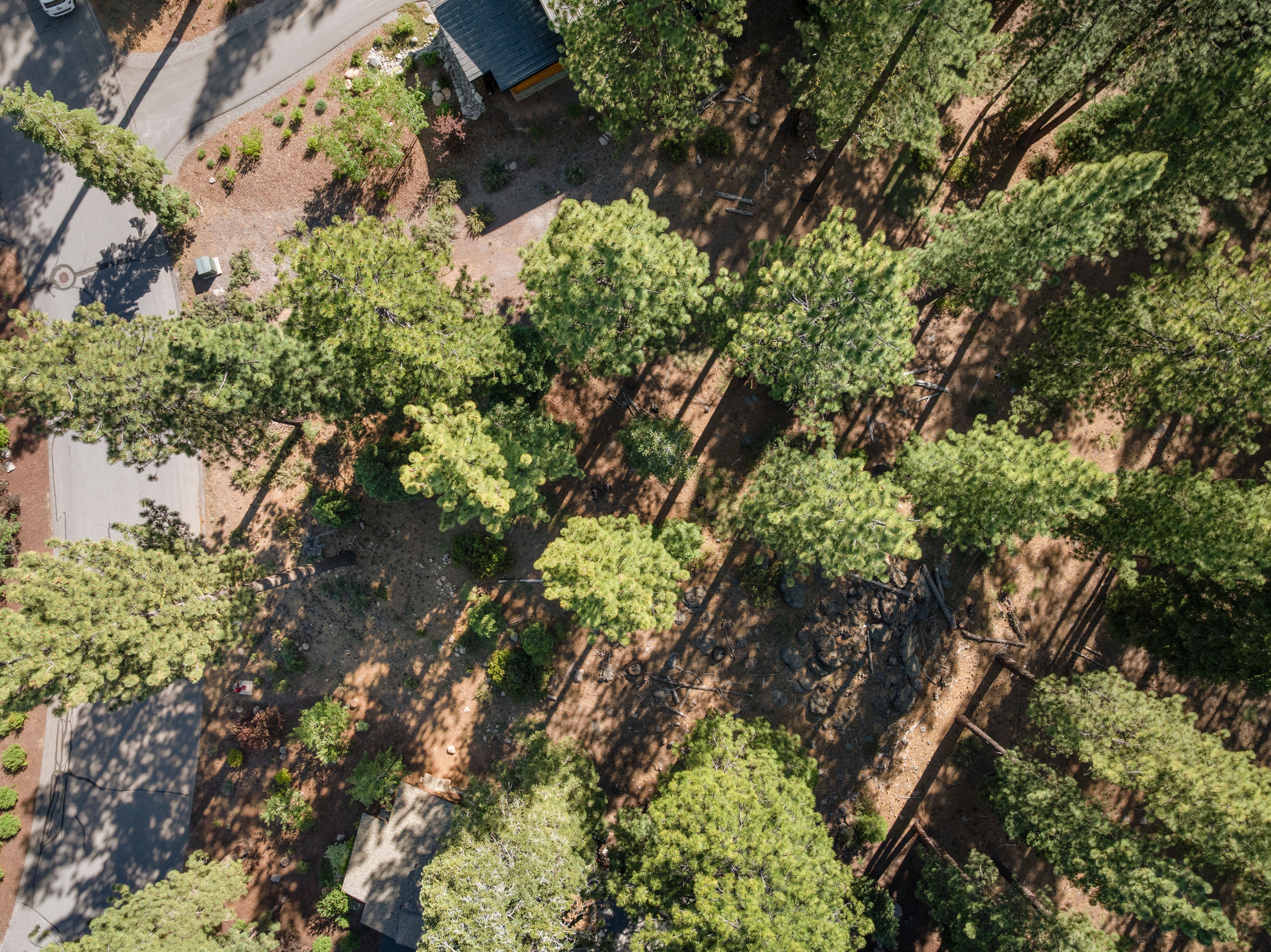  9252 Heartwood Drive - 物件實景