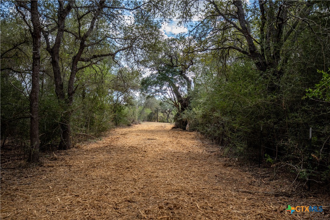 Cuero, Texas, 77954, United States, ,Residential,For Sale,1963995