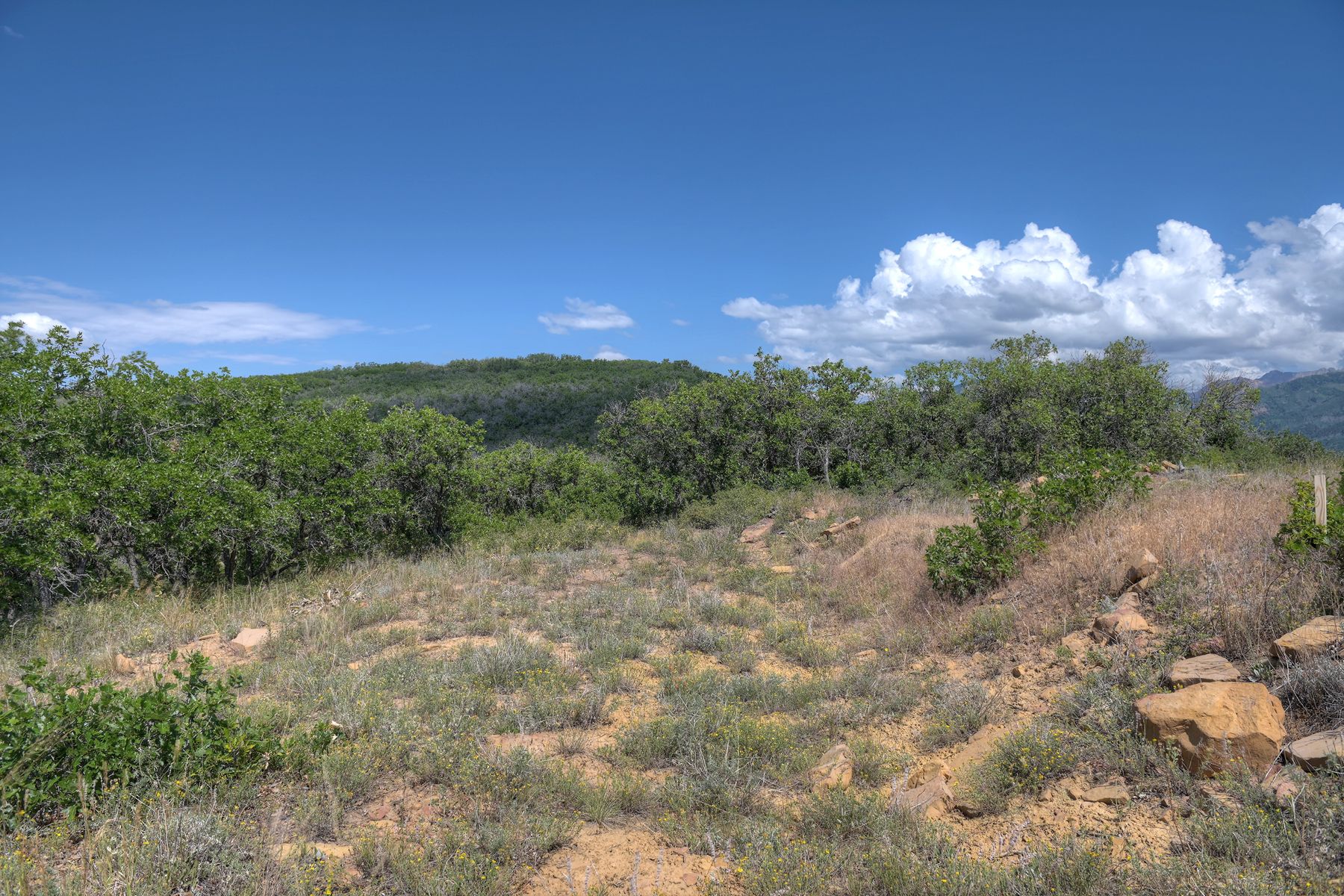  TBD Cross Creek Road, Hesperus, CO 81326 - 物件實景