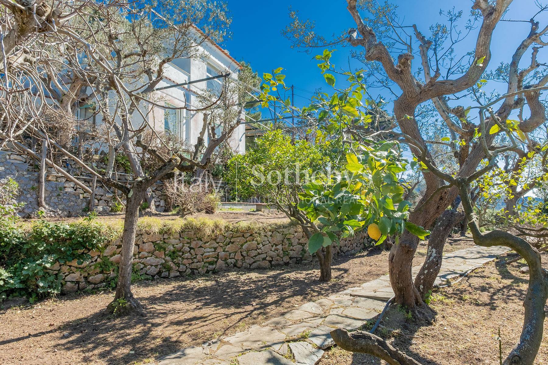  Wonderful villa with garden and seaview in Anacapri - 物件實景