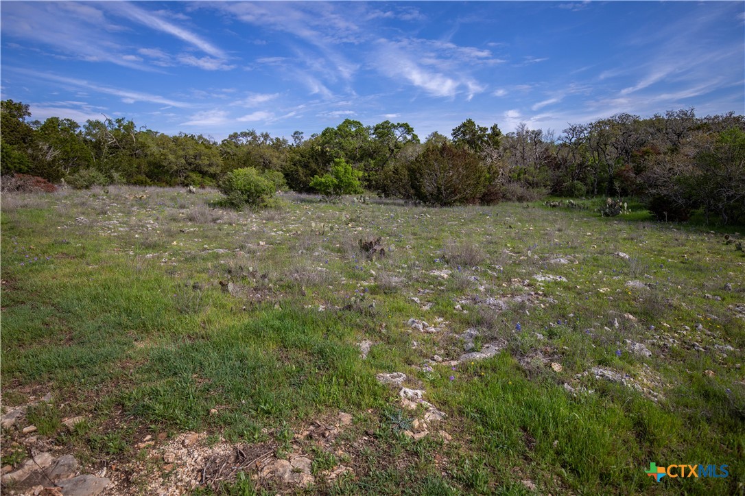 San Marcos, Texas, 78666, United States, ,Land,For Sale,1990898