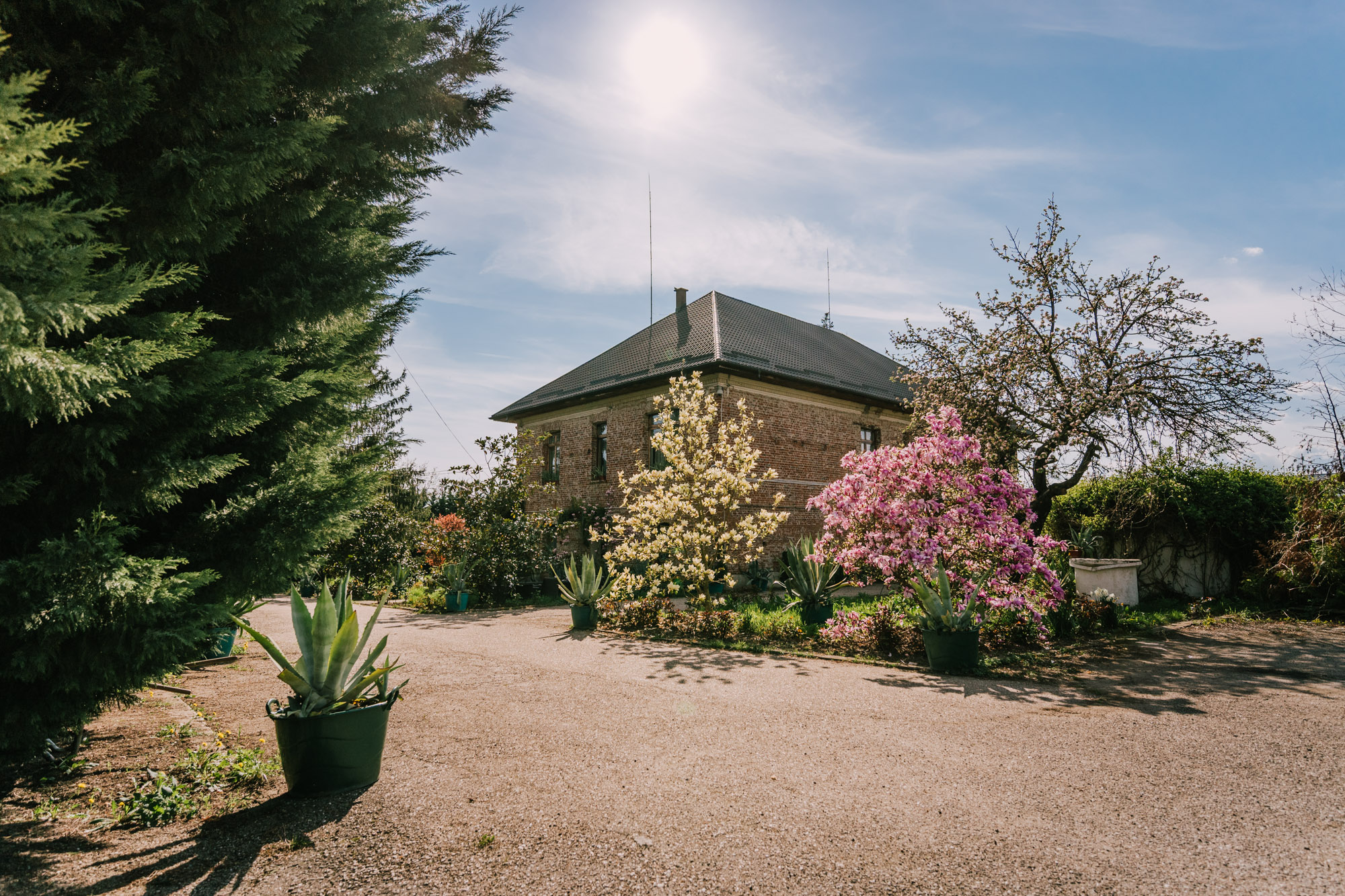  Aristocratic Retreat in the Heart of the Arge Hills - 物件實景