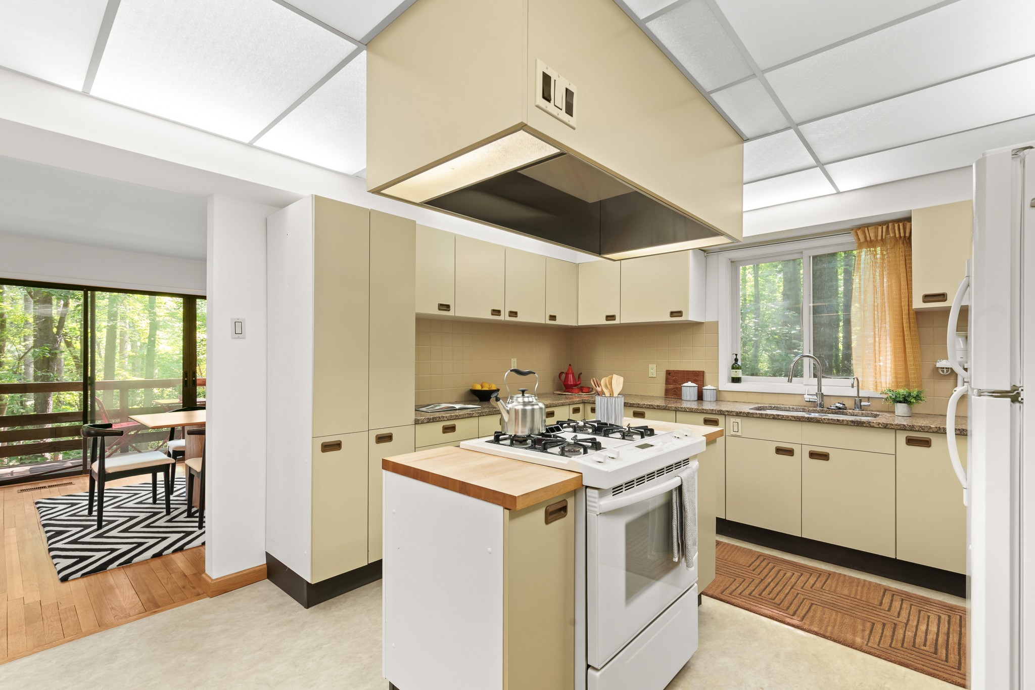  1429 Arboretum Drive, Chapel Hill, NC 27517 - 物件實景