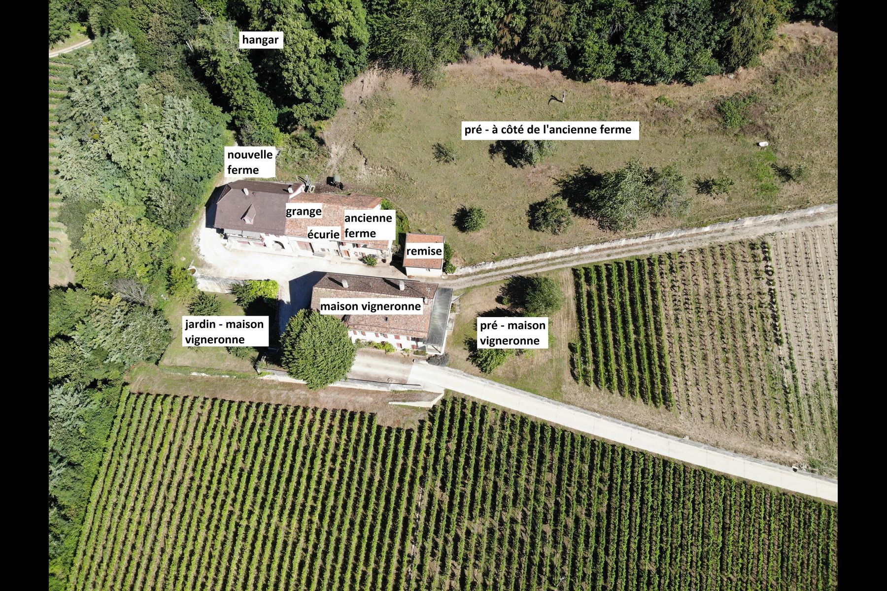  Wine-growing estate with forest, breathtaking lake view - 物件實景