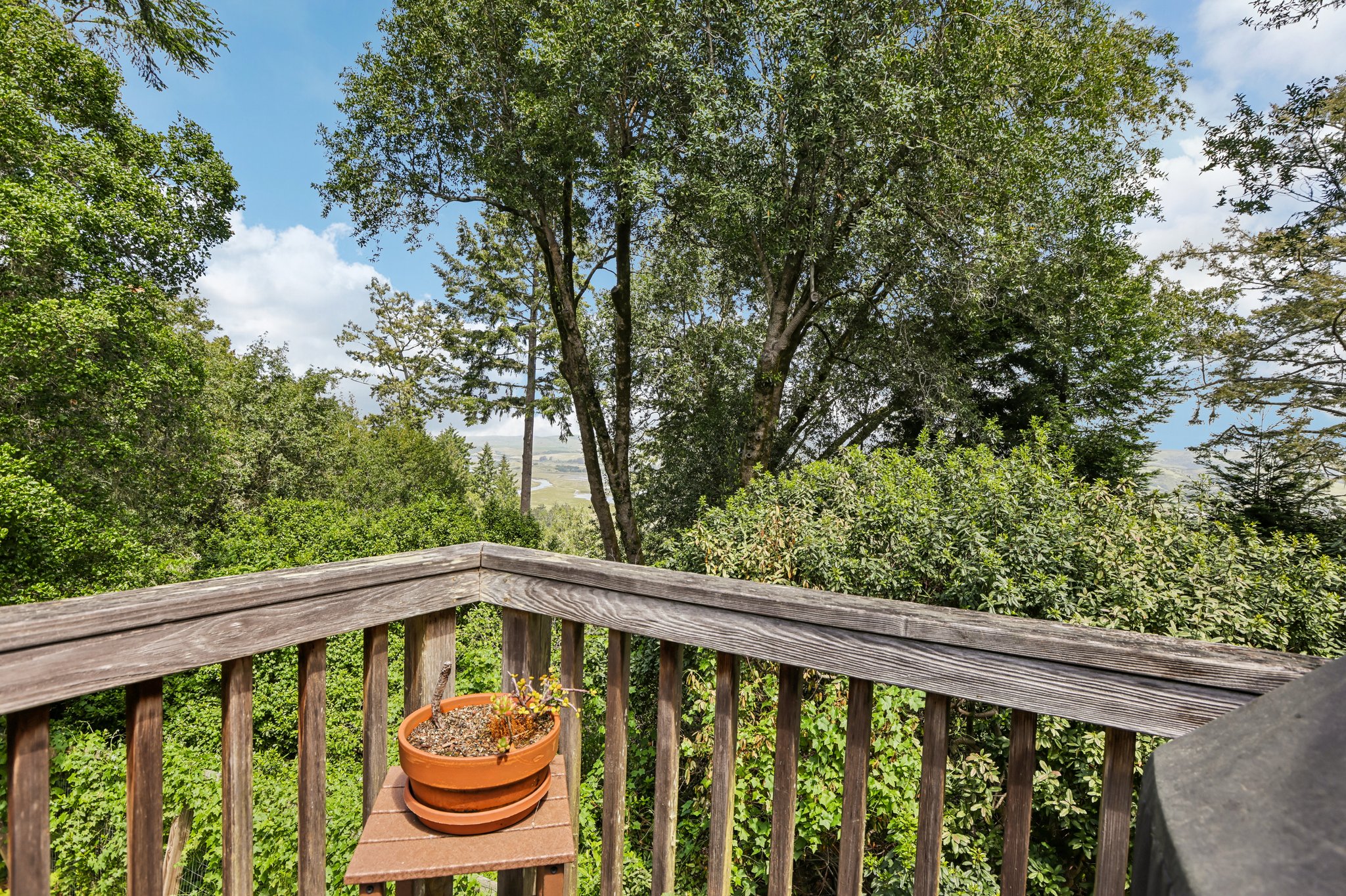  West Marin Legacy Estate - 物件實景