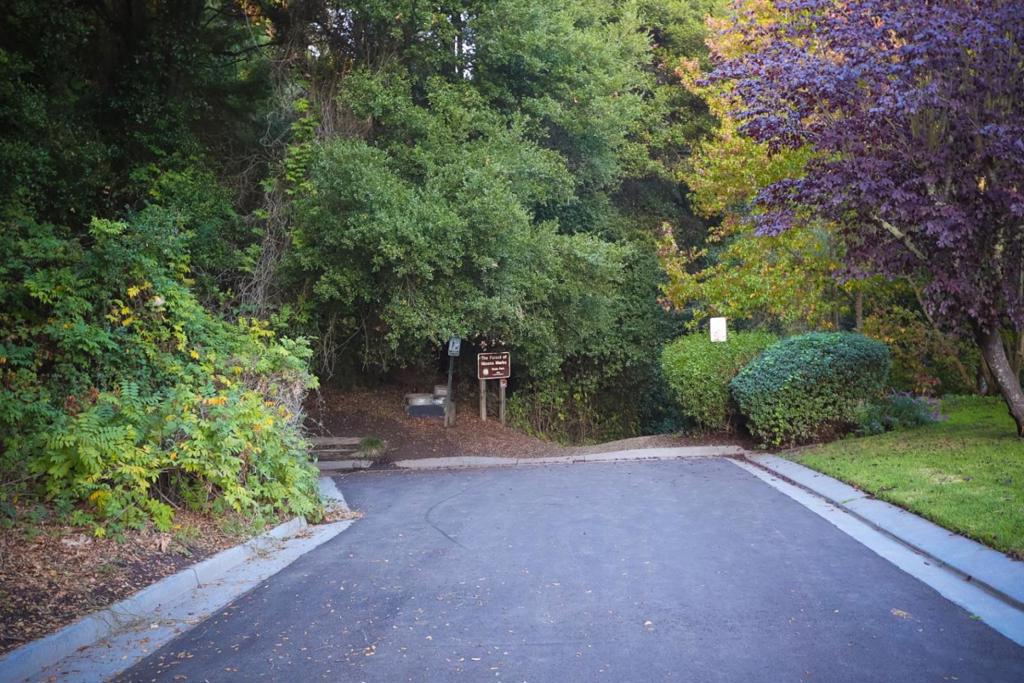 Aptos, California, 95003, United States, 3 Bedrooms Bedrooms, ,3 BathroomsBathrooms,Residential,For Sale,1988538