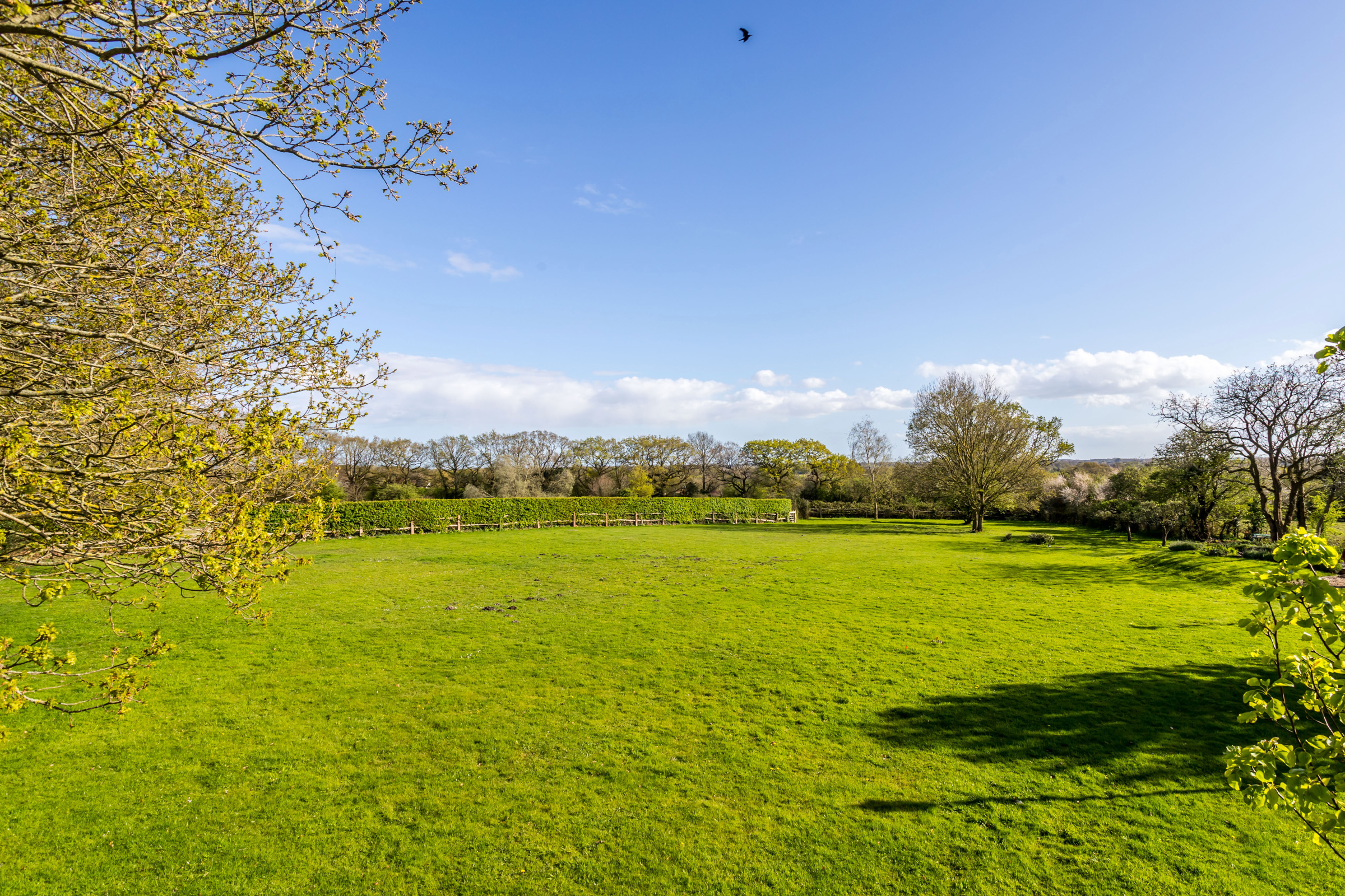 Exceptional Country Residence amongst five acres in the West Sussex Countryside - 物件實景
