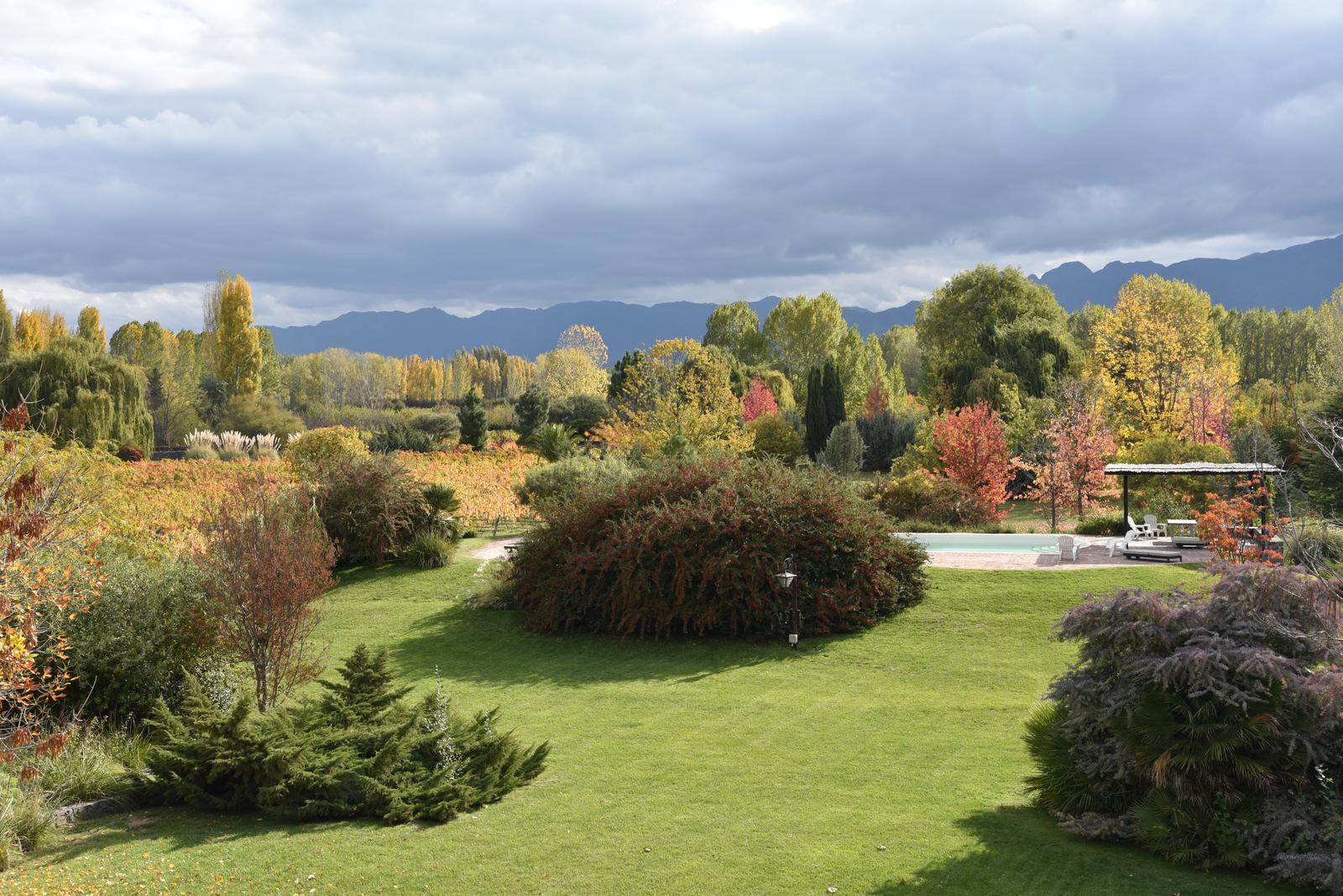 Lujan De Cuyo, AR-M, AR, 5 Bedrooms Bedrooms, ,8 BathroomsBathrooms,Residential,For Sale,1999071