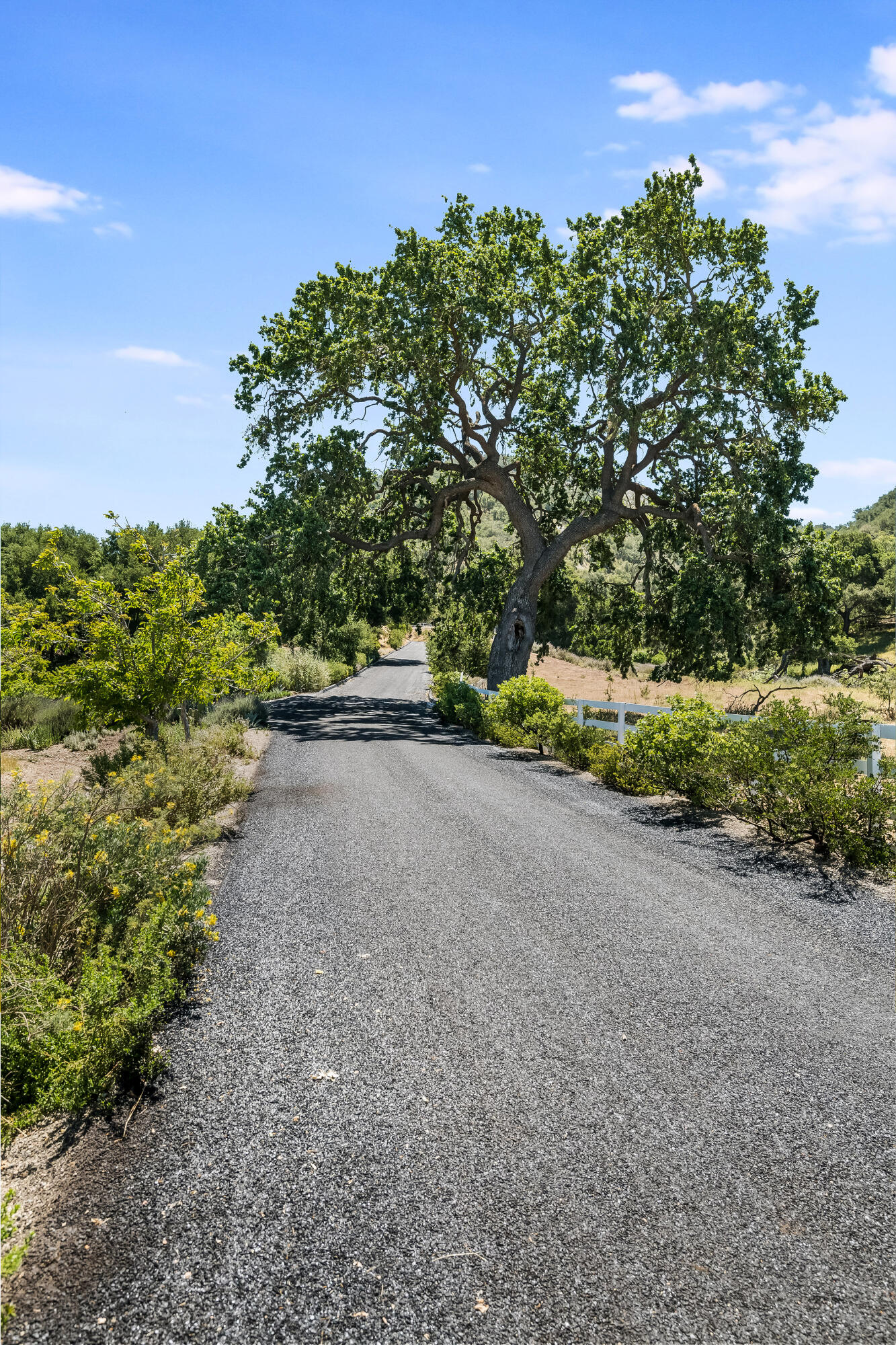 Santa Ynez, California, 93460, United States, 3 Bedrooms Bedrooms, ,6 BathroomsBathrooms,Residential,For Sale,1709883