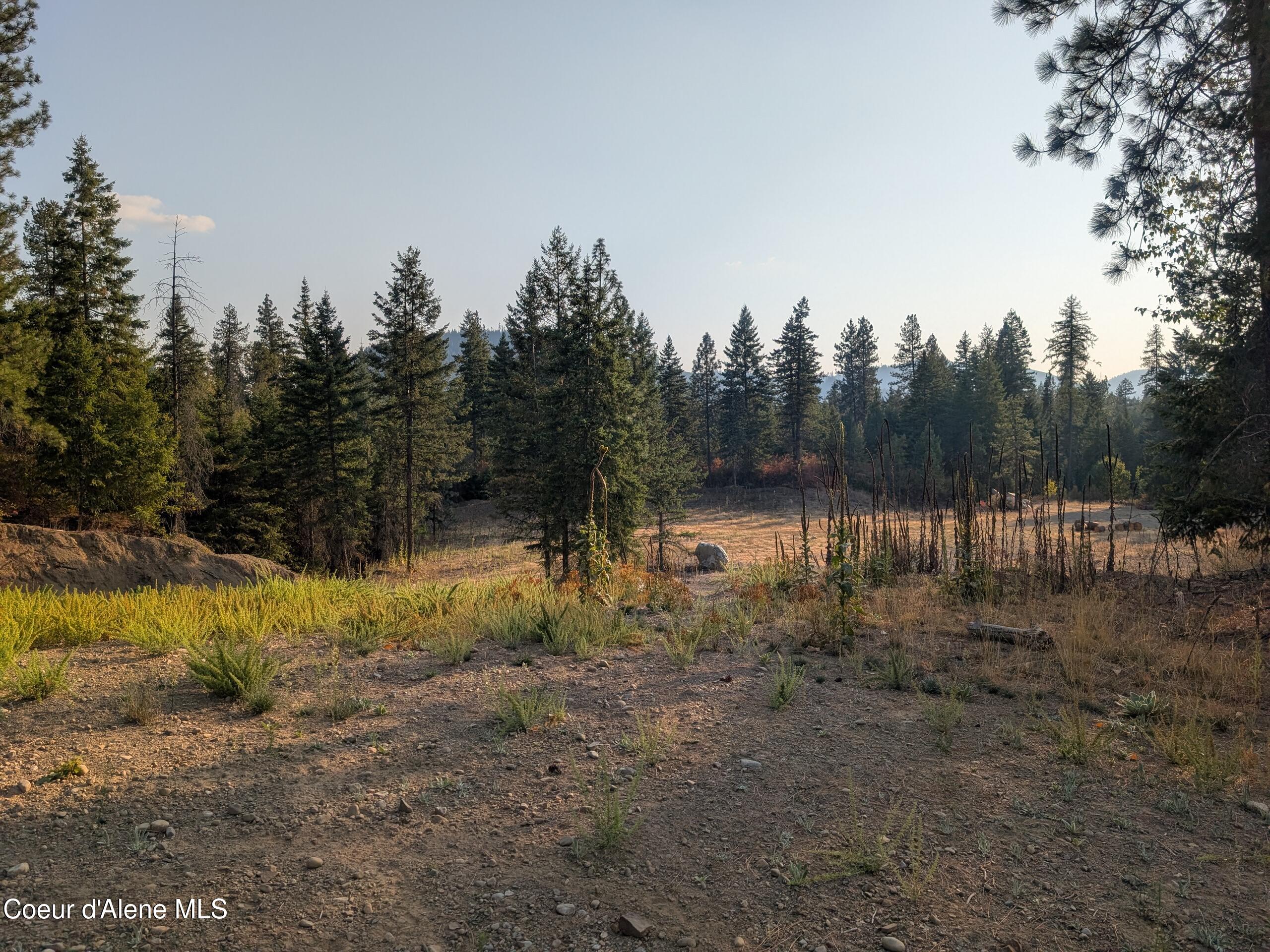 Spirit Lake, Idaho, 83869, United States, ,Land,For Sale,1981864