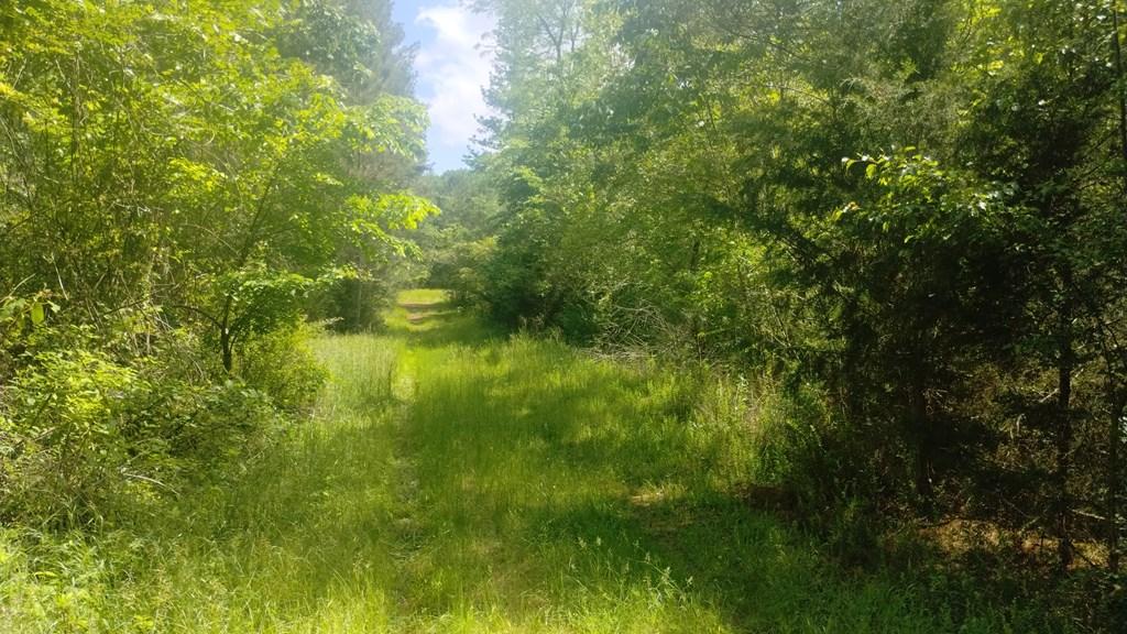 Ranger, Georgia, 30734, United States, ,Residential,For Sale,1924900