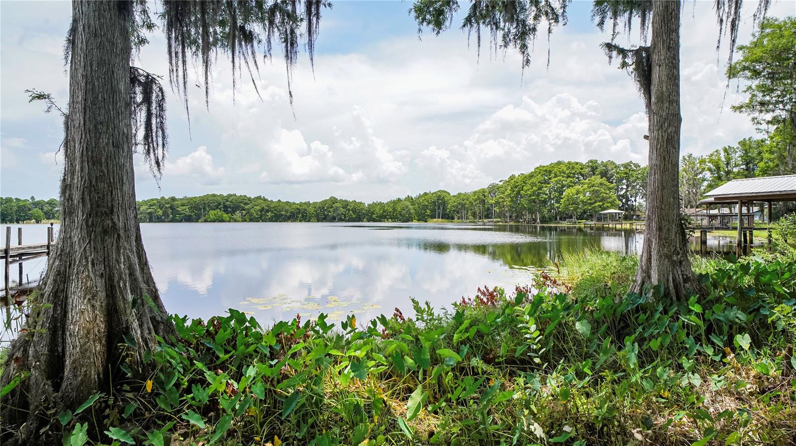 LAND O LAKES, Florida, 34638, United States, 3 Bedrooms Bedrooms, ,1 BathroomBathrooms,Residential,For Sale,1829291