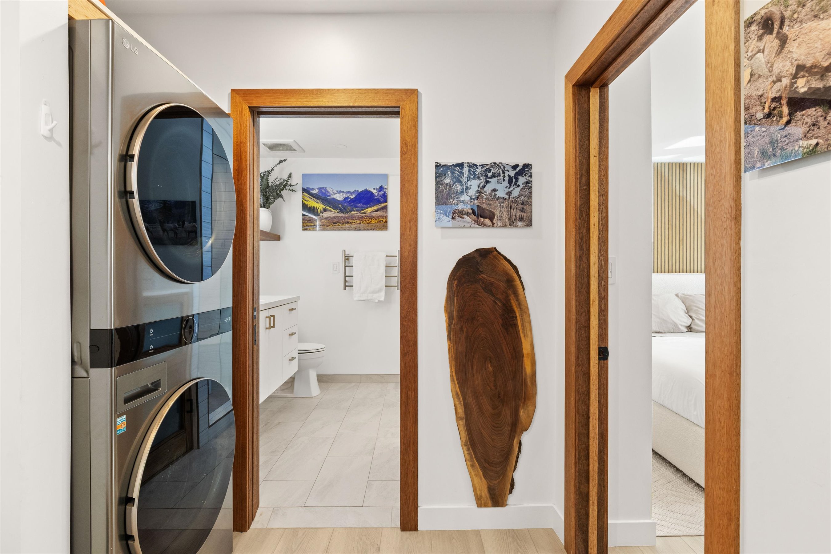  910 W Hallam Street, Aspen, CO, 81611 - 物件實景