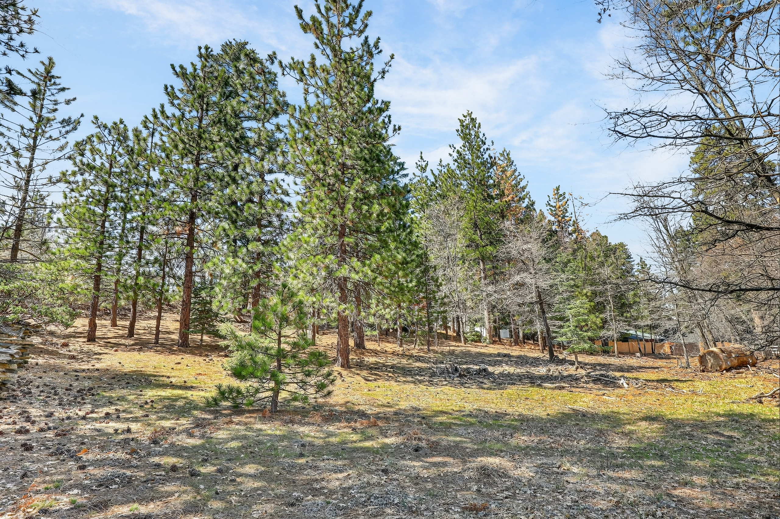  0 Cepu Rd, Running Springs , CA 92382 - 物件實景