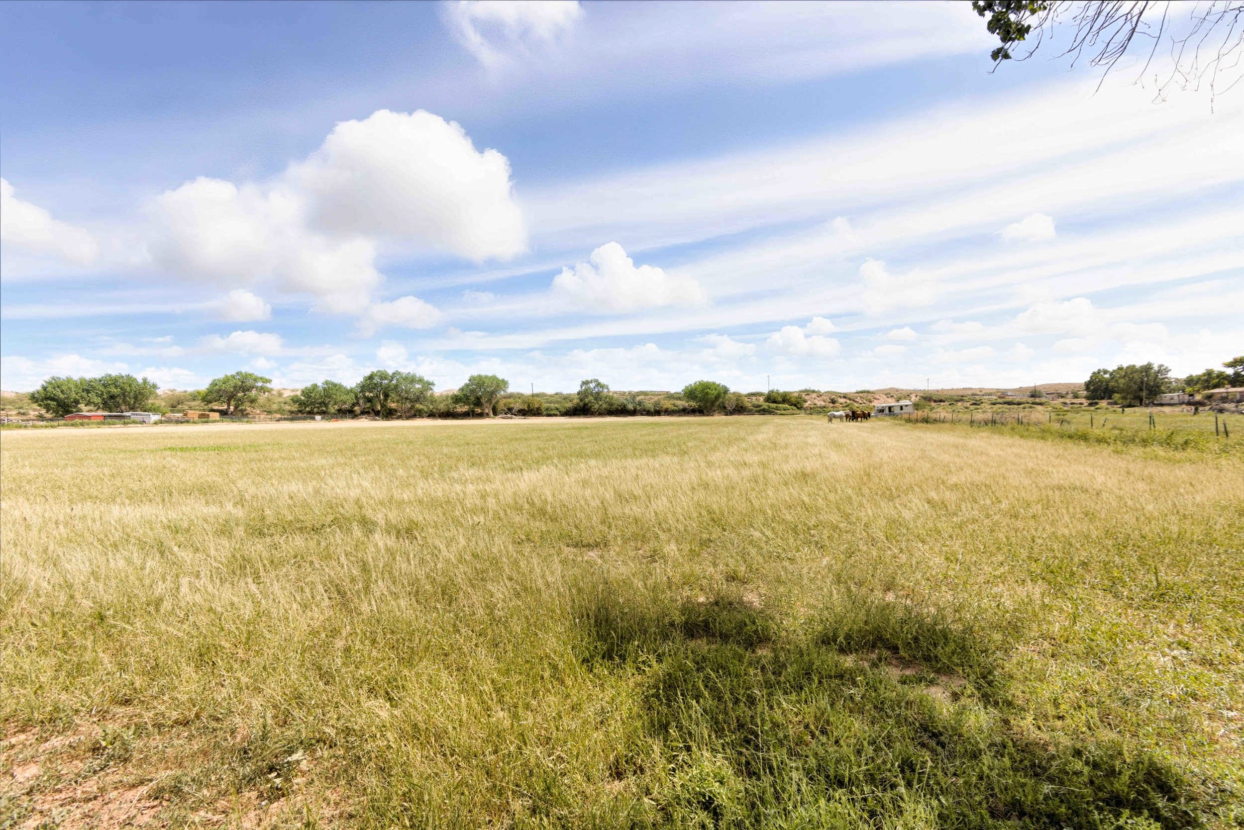 Veguita, New Mexico, 87062, United States, 4 Bedrooms Bedrooms, ,2 BathroomsBathrooms,Residential,For Sale,1974497