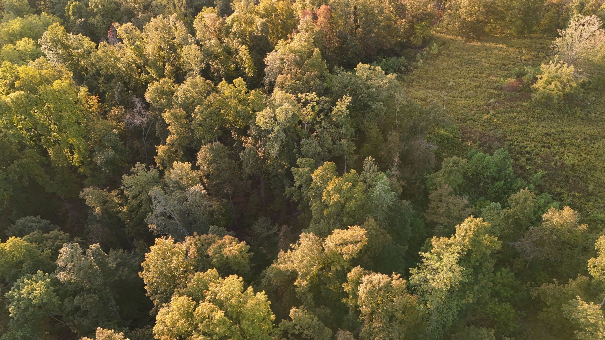 Lynchburg, Tennessee, 37388, United States, ,Land,For Sale,1982223