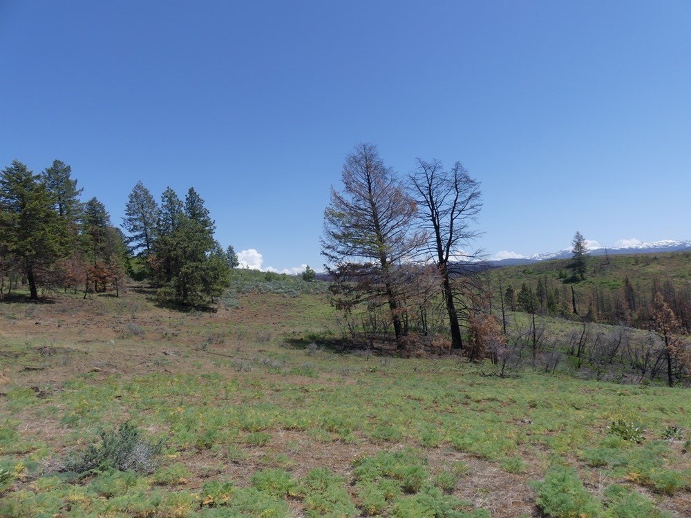 Indian Valley, Idaho, 83682, United States, ,Land,For Sale,1976667
