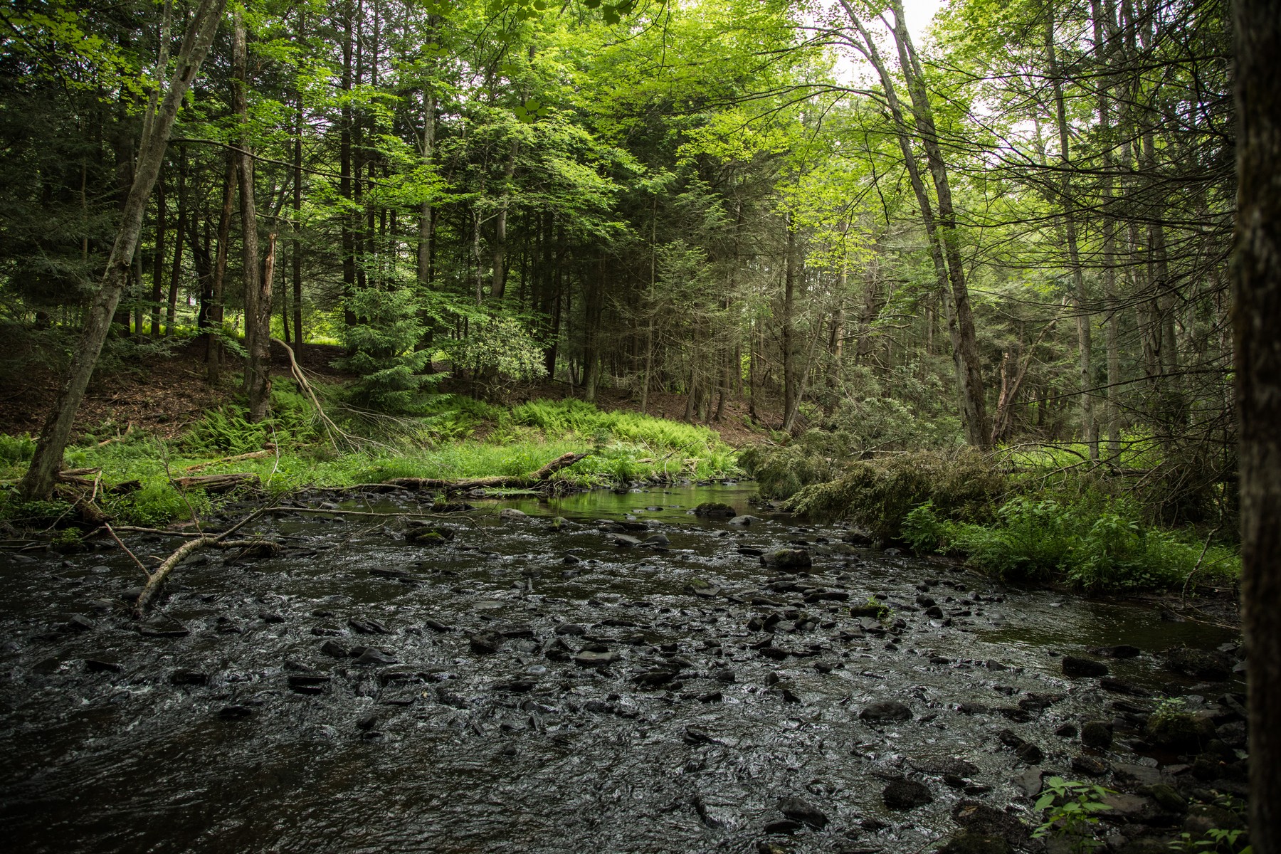  Stream Front Home Site at The Chapin Estate - 物件實景