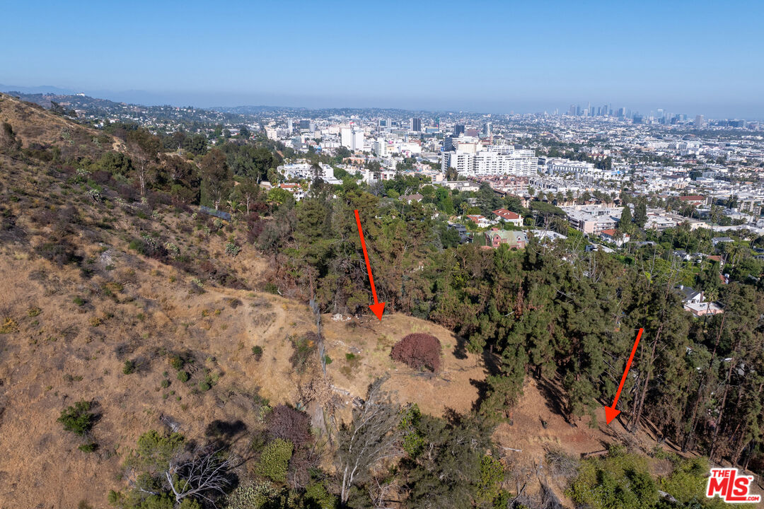 Los Angeles, California, 90046, United States, ,Land,For Sale,1891121