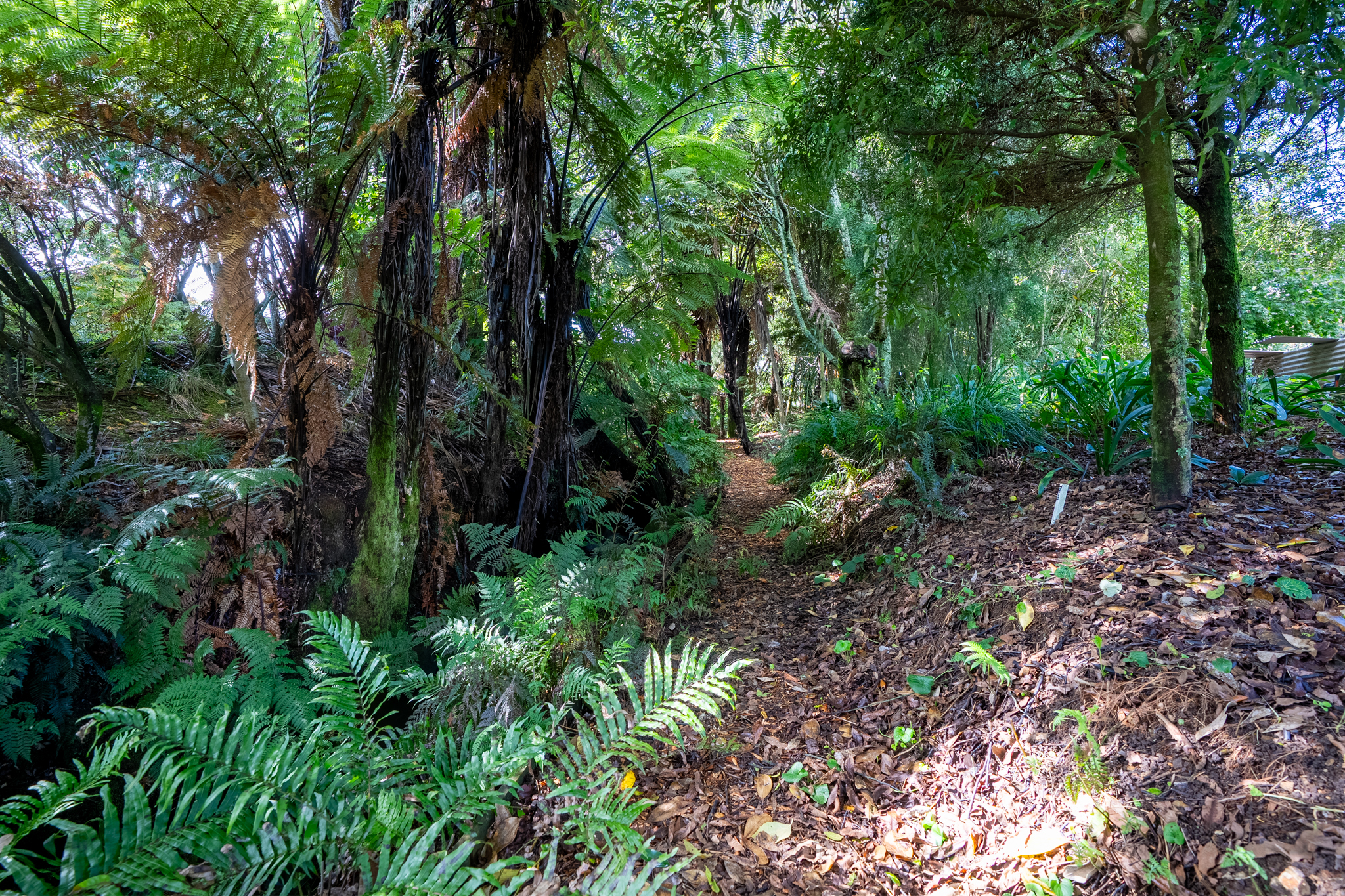  What Dreams are Made of and Memories are Made - 物件實景