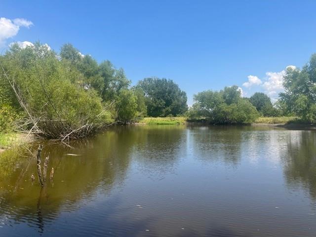 Commerce, Texas, 75428, United States, 7 Bedrooms Bedrooms, ,6 BathroomsBathrooms,Residential,For Sale,1984183