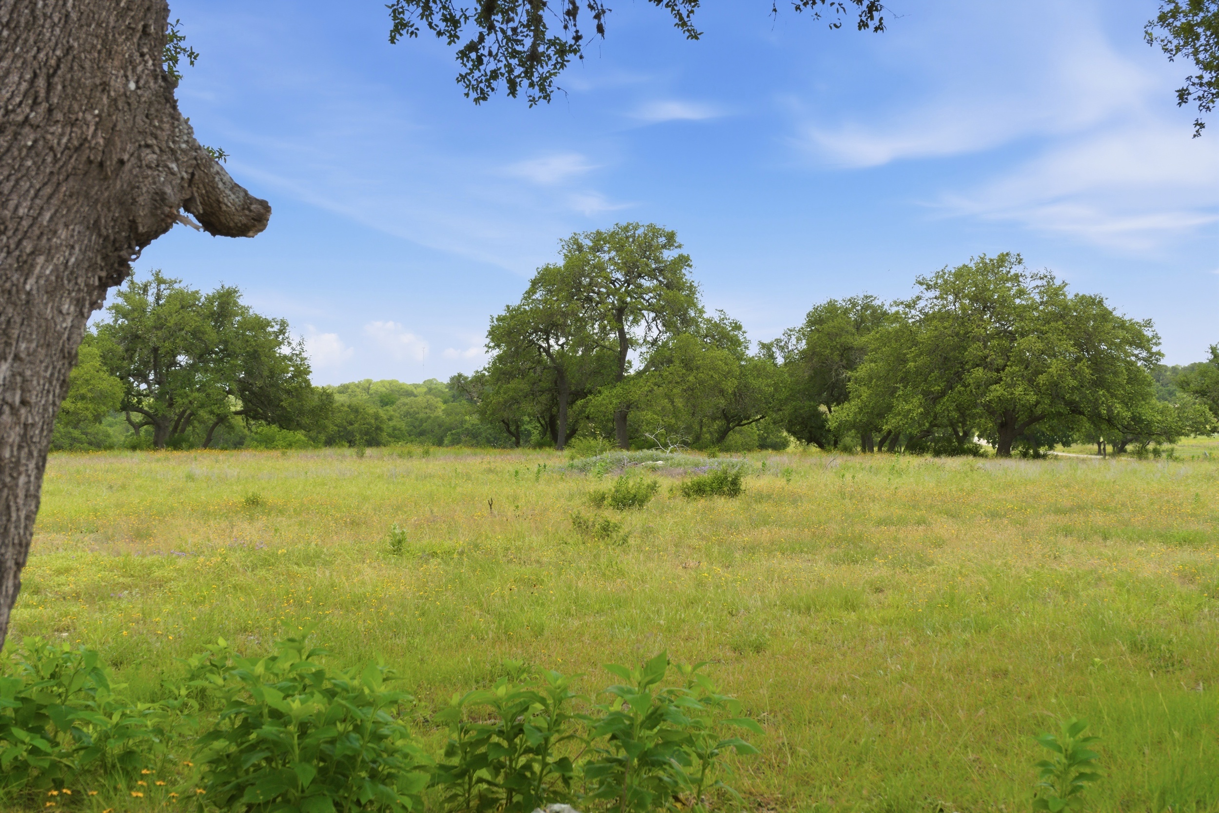  Rolling Oaks Ranch: The Pinnacle of Private Estate Living - 物件實景